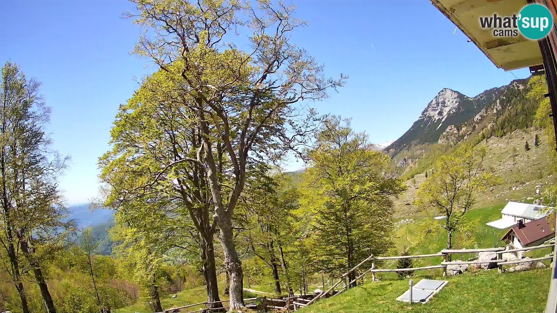 Baita di montagna Planina Razor webcam (1315) | vista su Tolminski Migovec