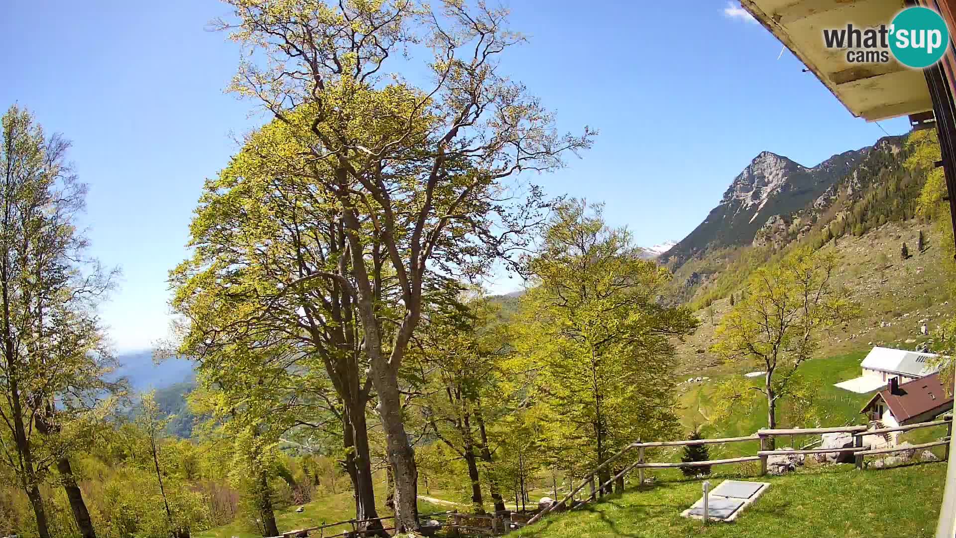 Baita di montagna Planina Razor webcam (1315) | vista su Tolminski Migovec
