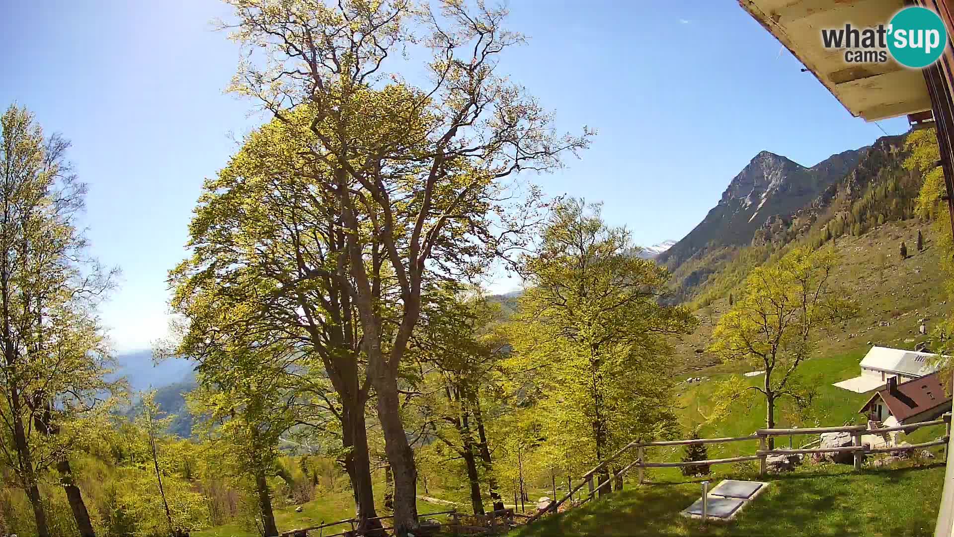 Baita di montagna Planina Razor webcam (1315) | vista su Tolminski Migovec