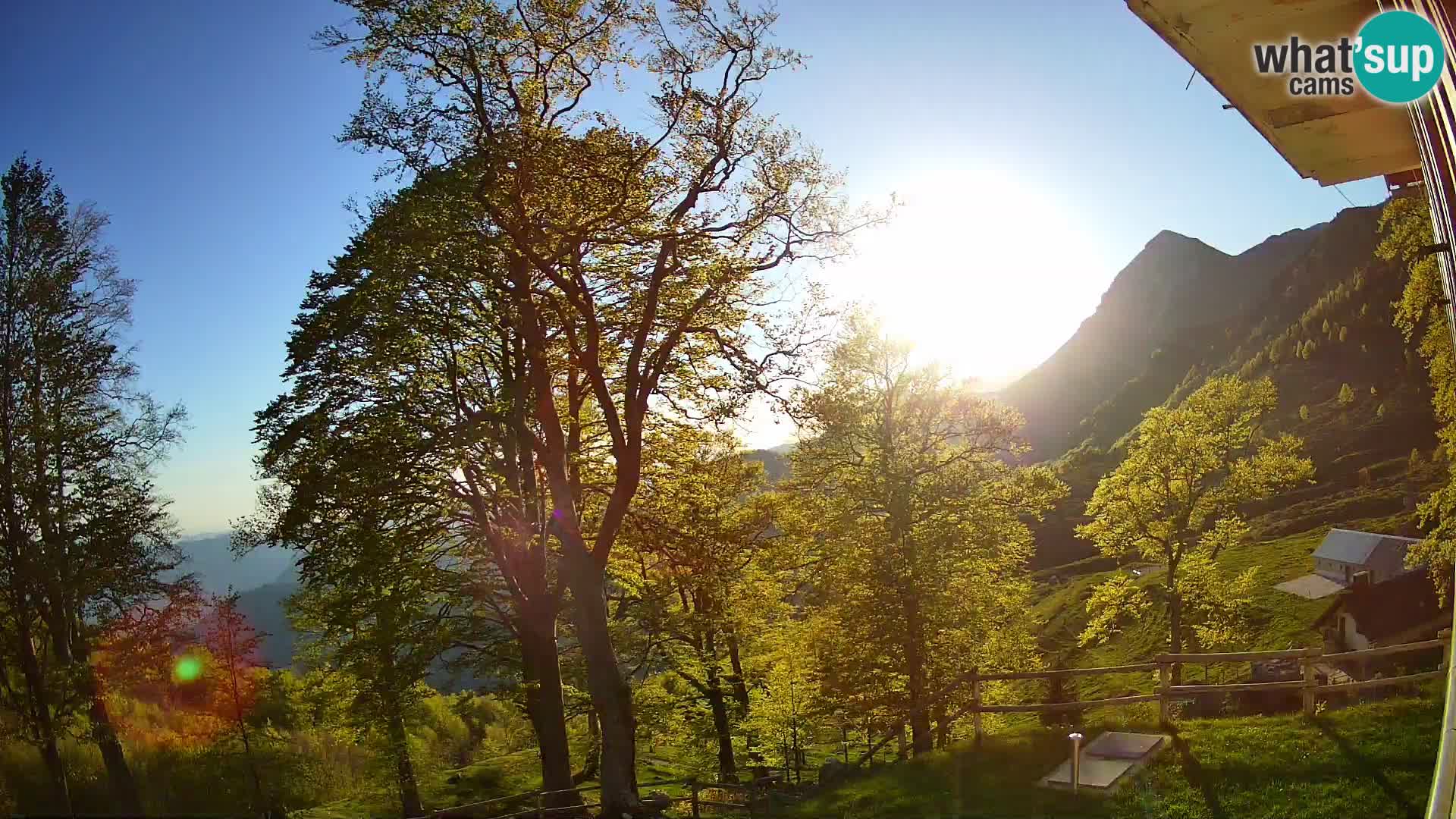 Planina Razor Bergütte Webcam (1315) | Blick auf Tolminski Migovec