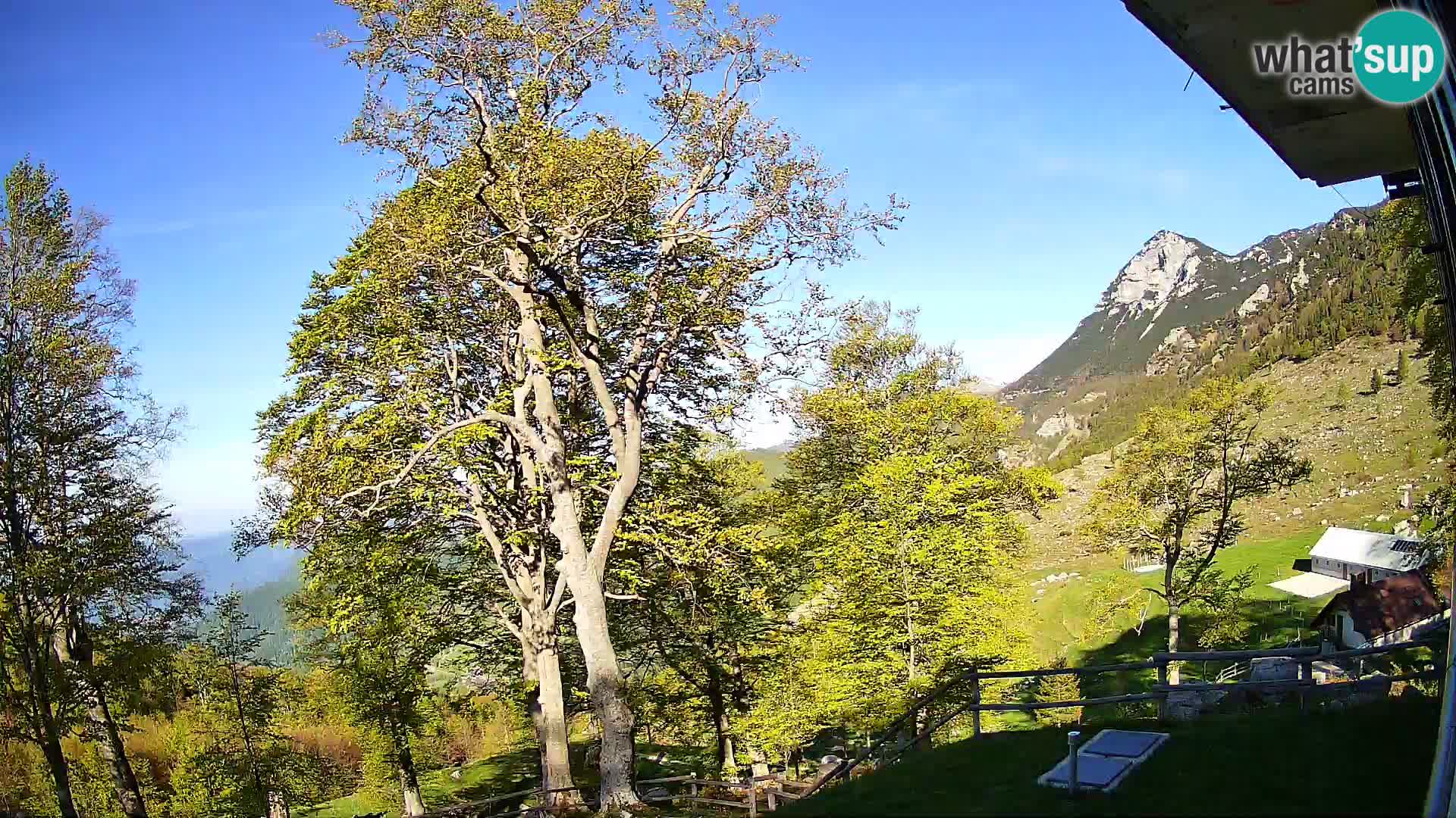 Planina Razor Mountain Hut live cam (1315) | view to Tolminski Migovec