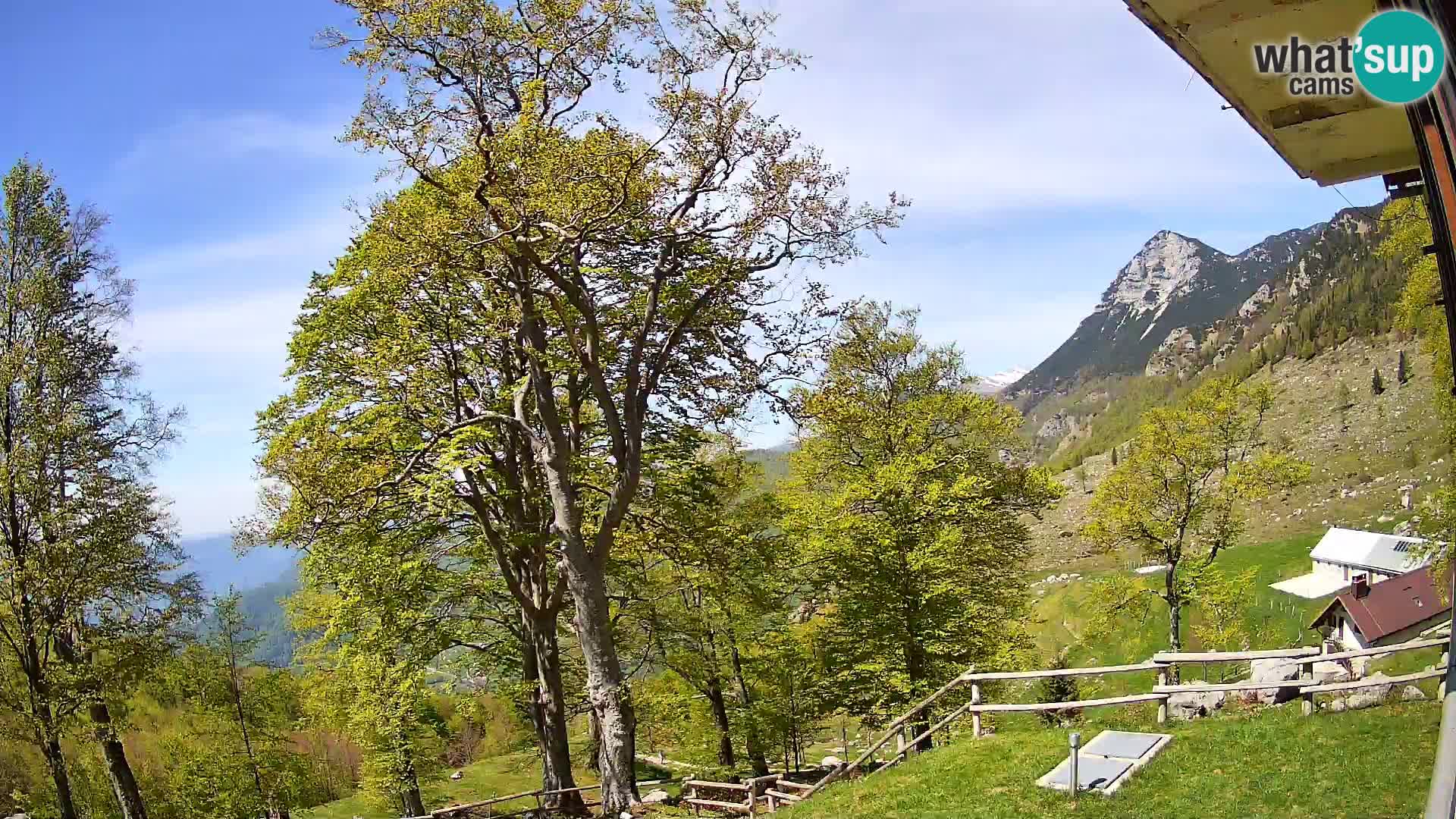Cámara en vivo de la cabaña de montaña Planina Razor (1315) | vista hacia Tolminski Migovec