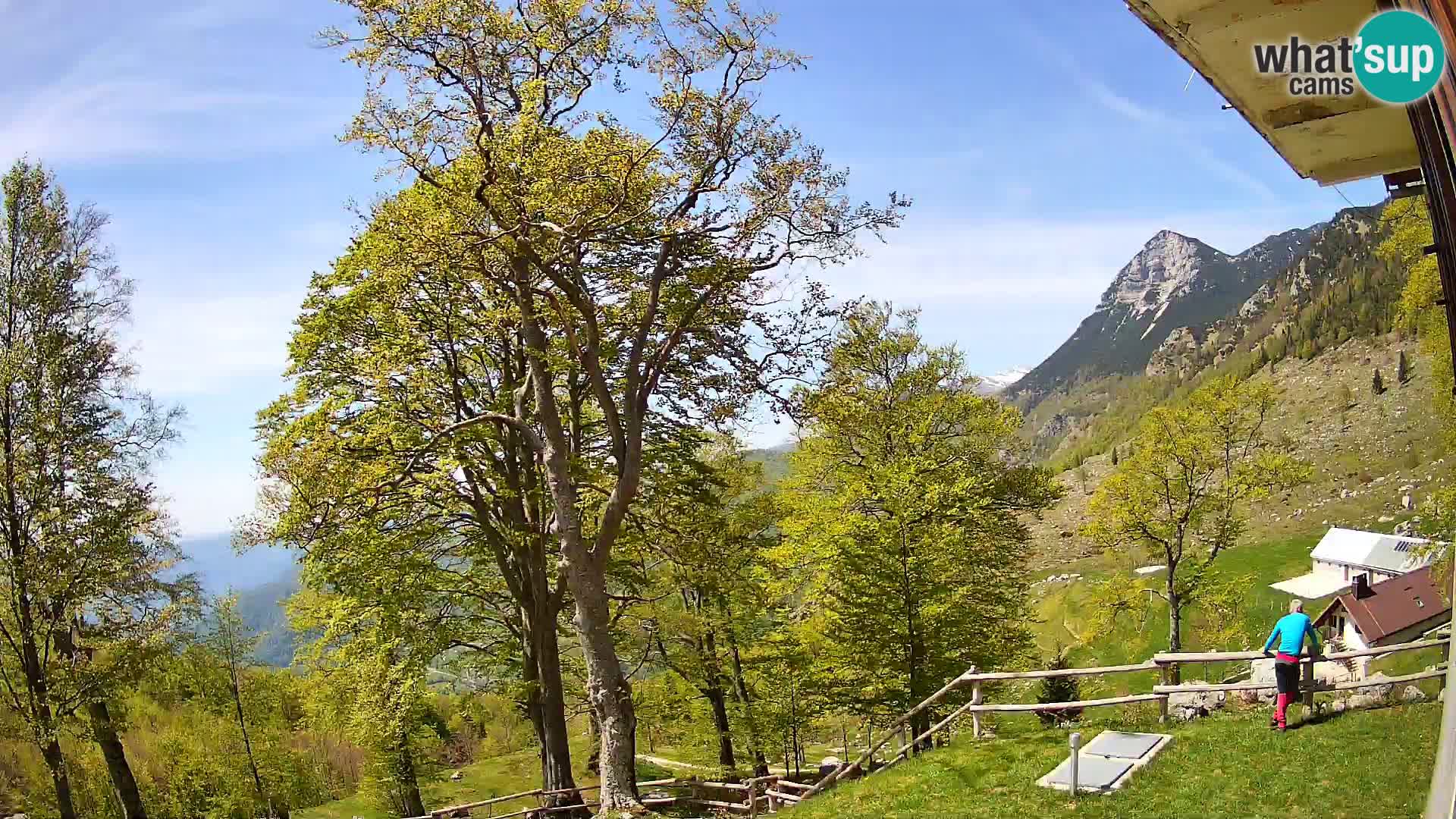 Planina Razor Mountain Hut live cam (1315) | view to Tolminski Migovec
