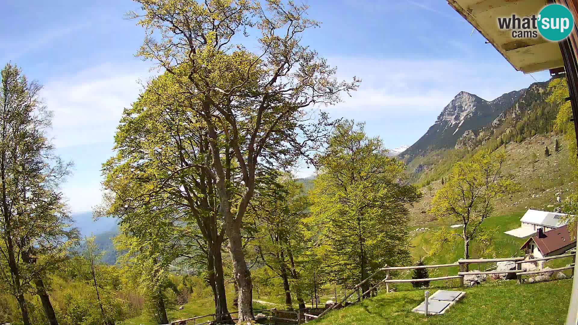 Planina Razor Mountain Hut live cam (1315) | view to Tolminski Migovec
