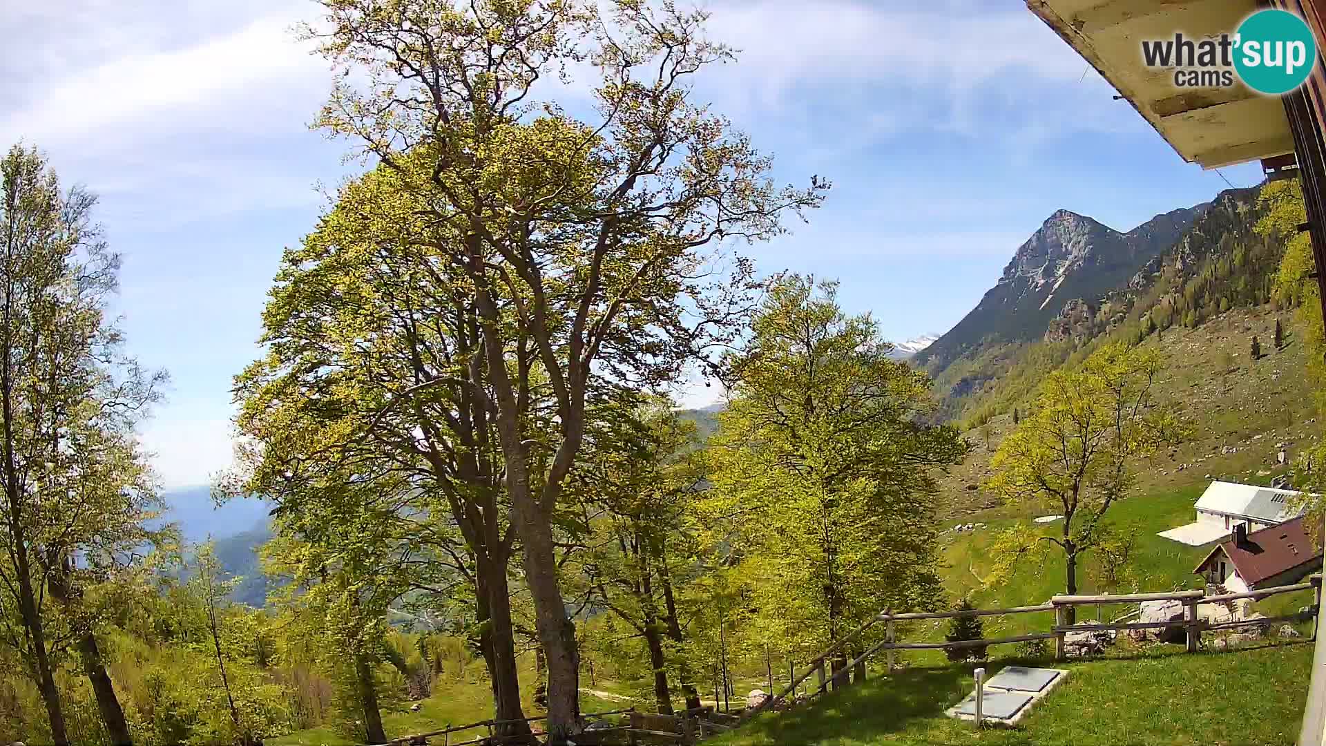 Planina Razor Mountain Hut live cam (1315) | view to Tolminski Migovec
