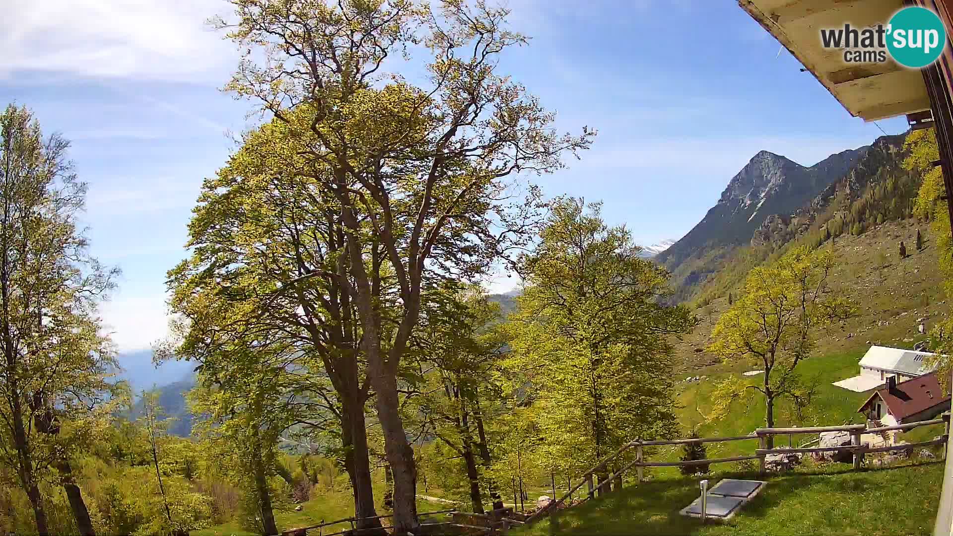 Planina Razor Mountain Hut live cam (1315) | view to Tolminski Migovec