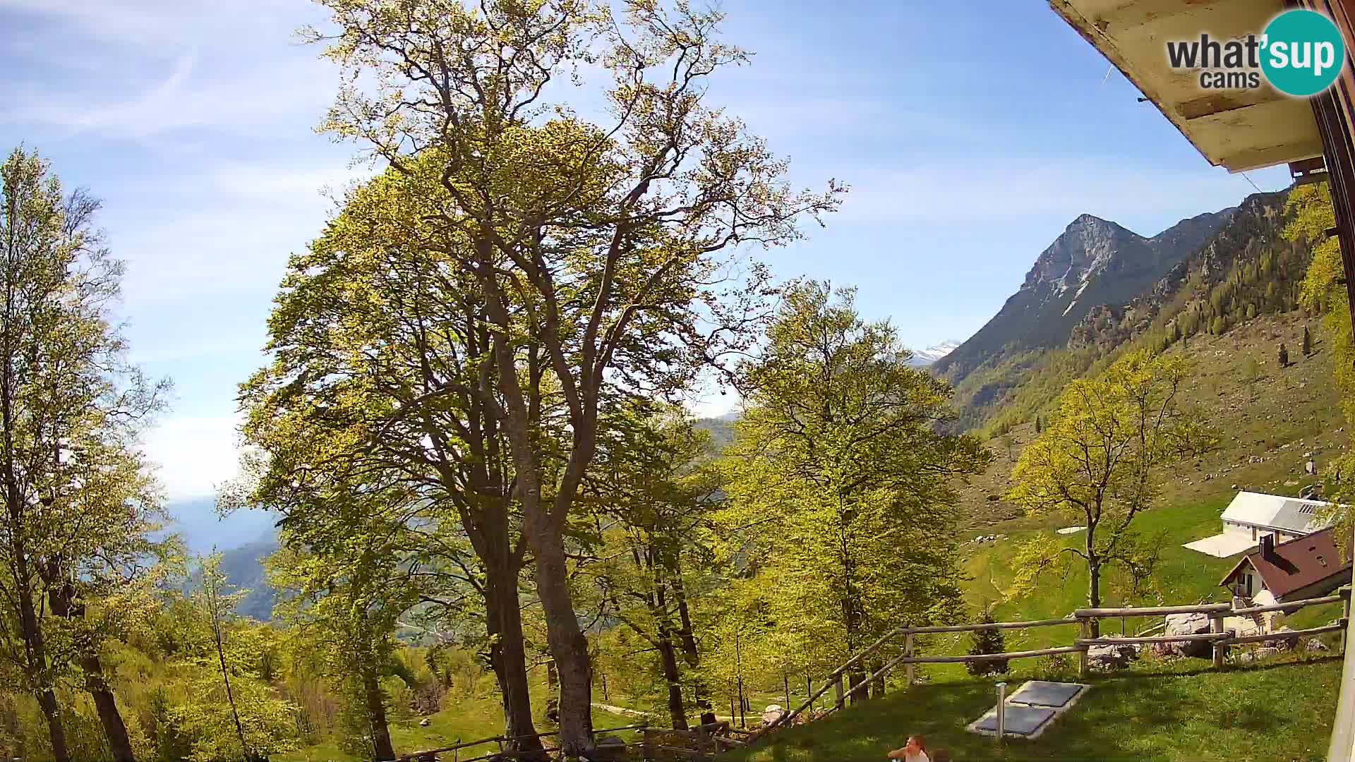 Planina Razor Mountain Hut live cam (1315) | view to Tolminski Migovec
