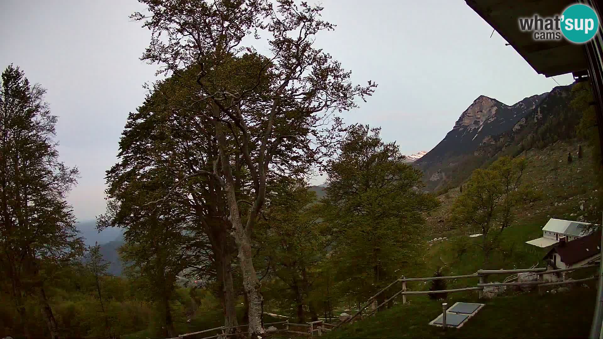 Planina Razor Mountain Hut live cam (1315) | view to Tolminski Migovec