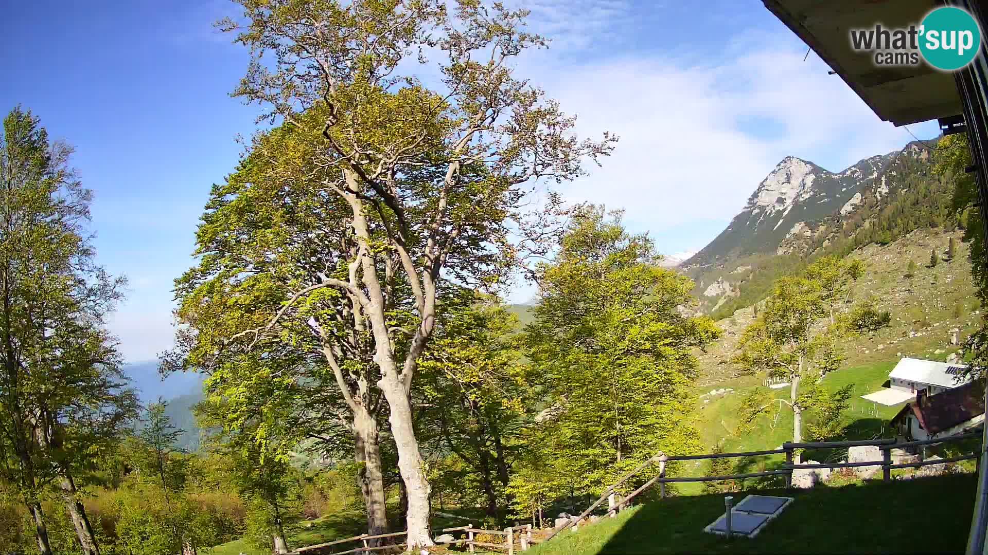 Baita di montagna Planina Razor webcam (1315) | vista su Tolminski Migovec