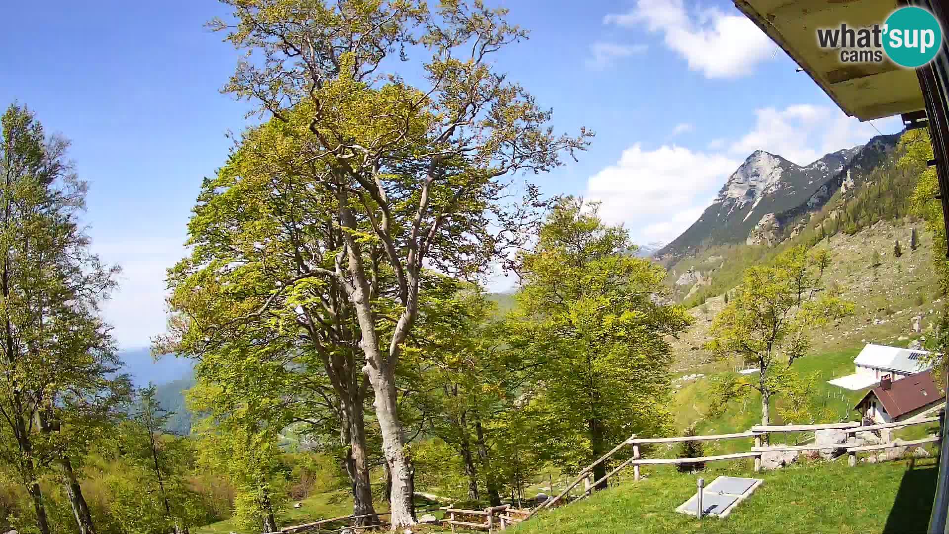 Baita di montagna Planina Razor webcam (1315) | vista su Tolminski Migovec