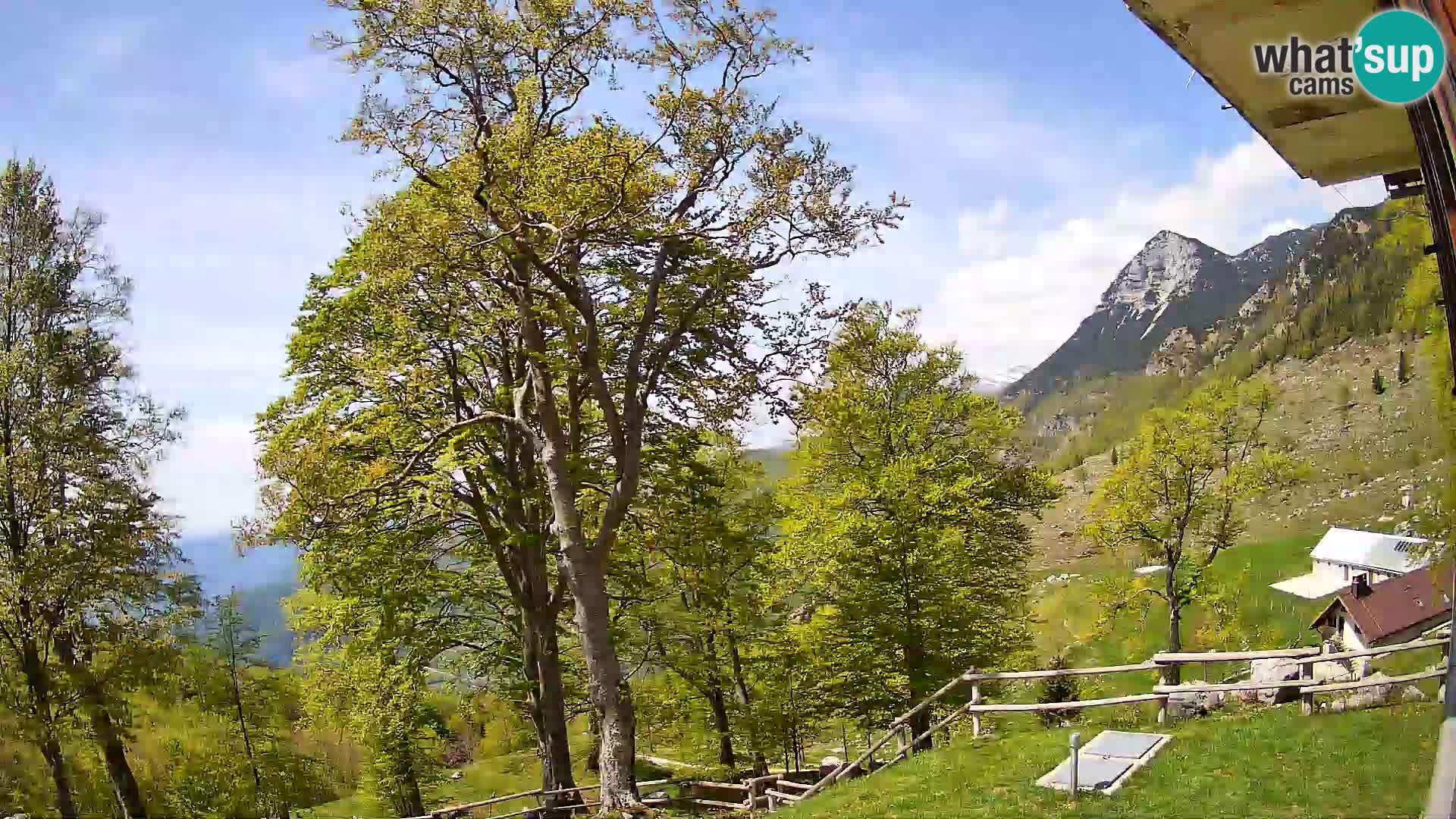 Planina Razor Mountain Hut live cam (1315) | view to Tolminski Migovec