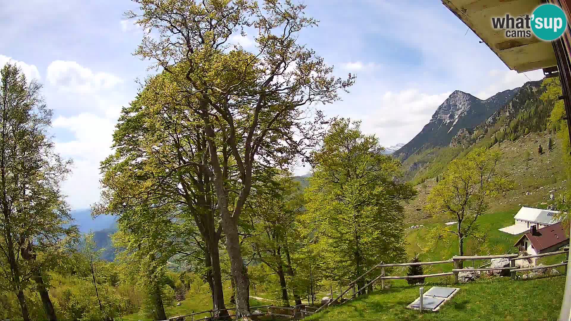 Planina Razor Mountain Hut live cam (1315) | view to Tolminski Migovec