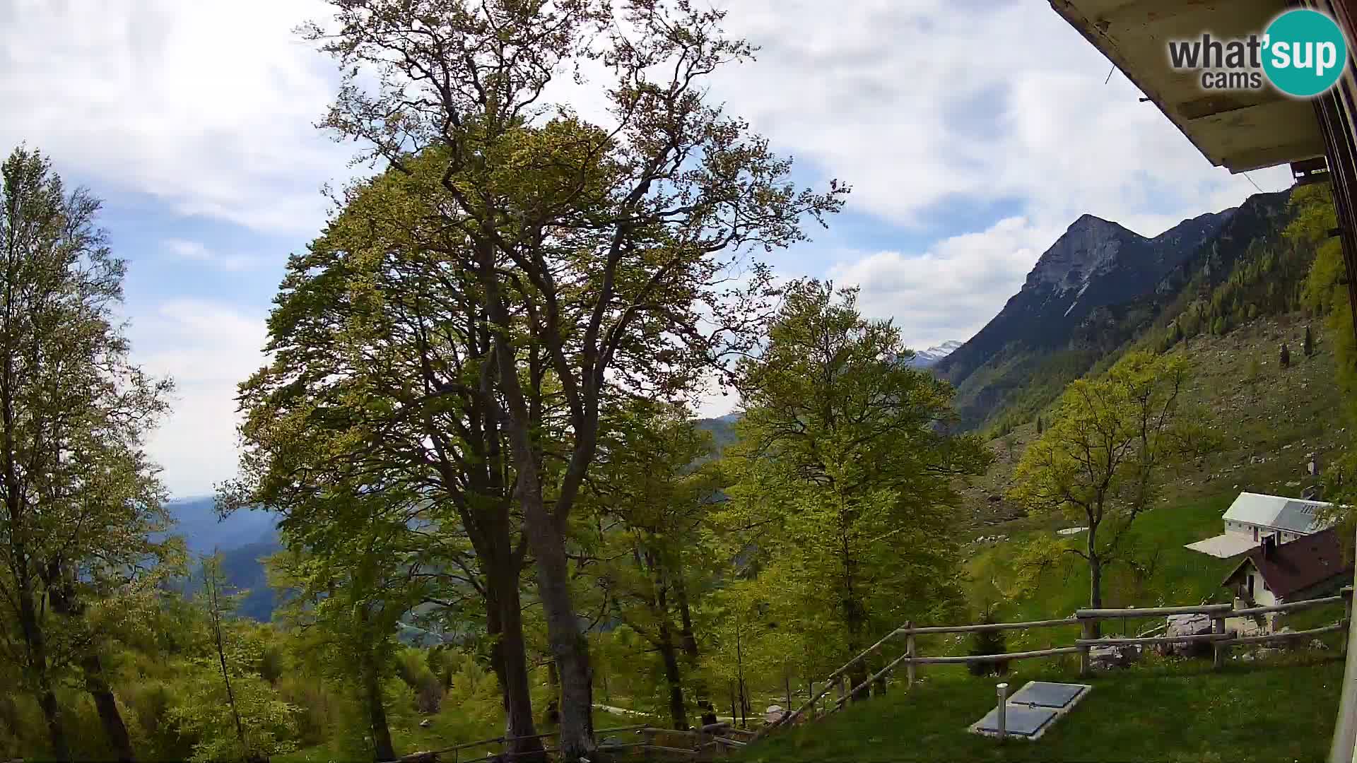 Baita di montagna Planina Razor webcam (1315) | vista su Tolminski Migovec