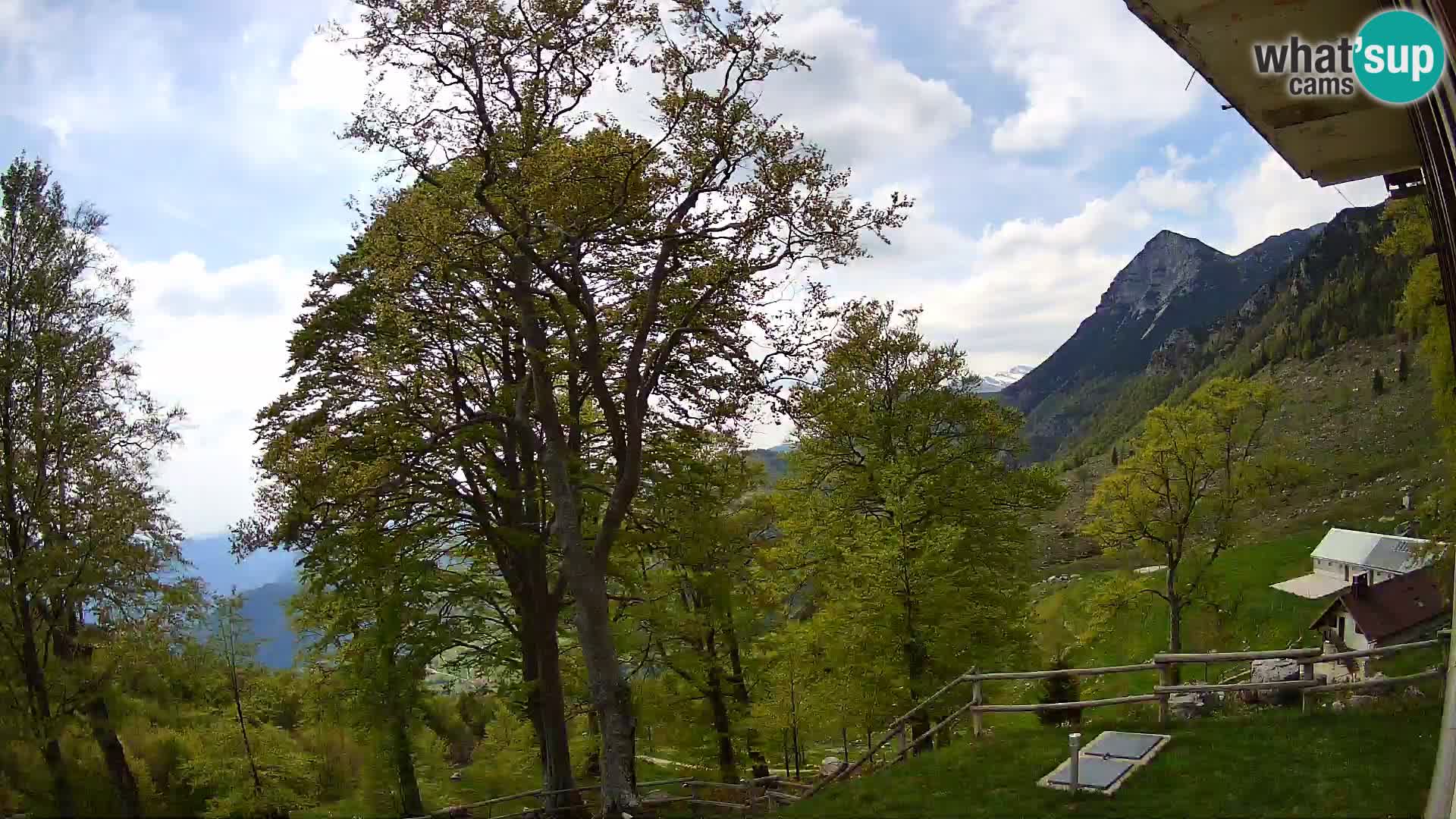 Cámara en vivo de la cabaña de montaña Planina Razor (1315) | vista hacia Tolminski Migovec