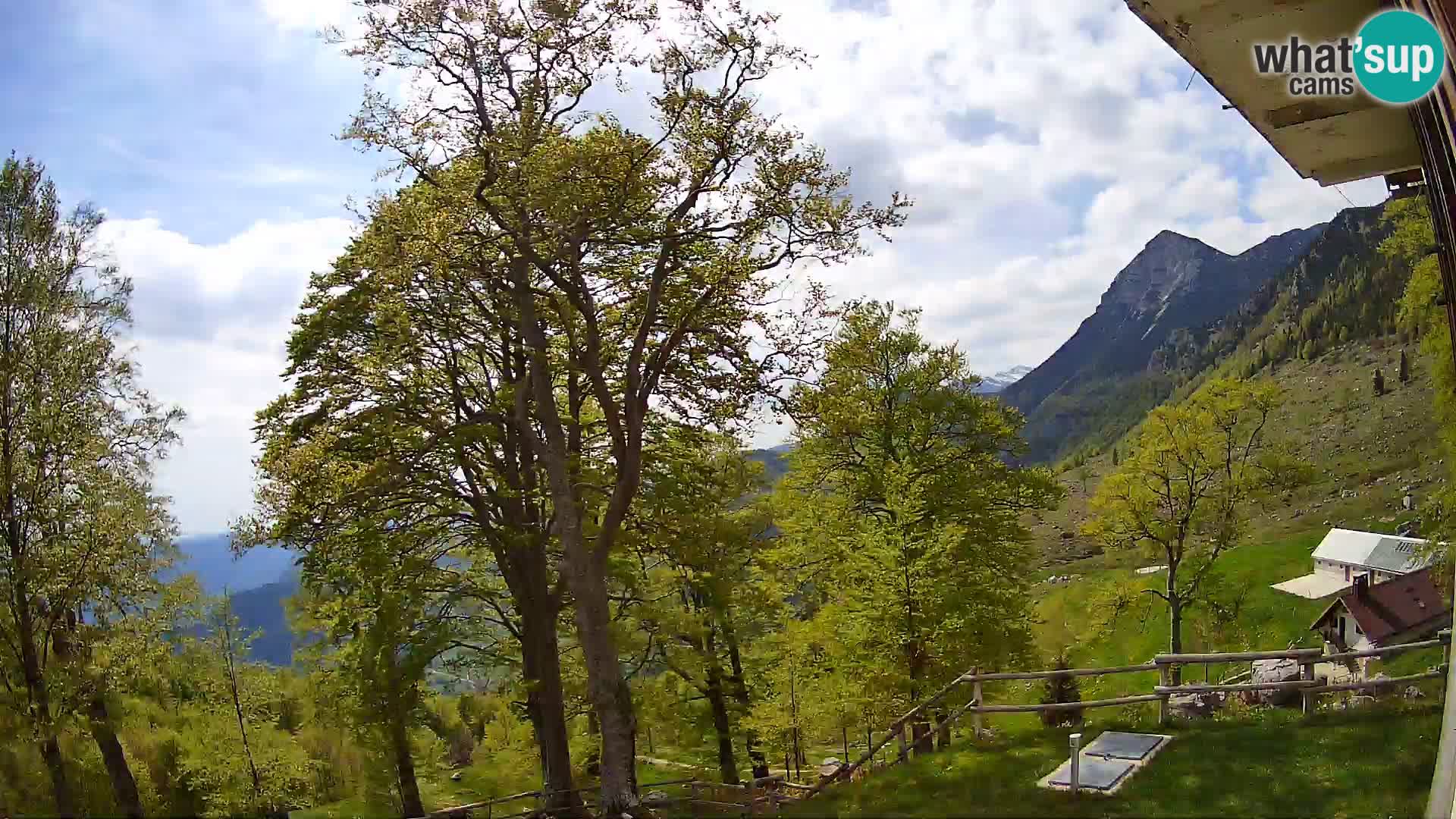 Planina Razor Mountain Hut live cam (1315) | view to Tolminski Migovec