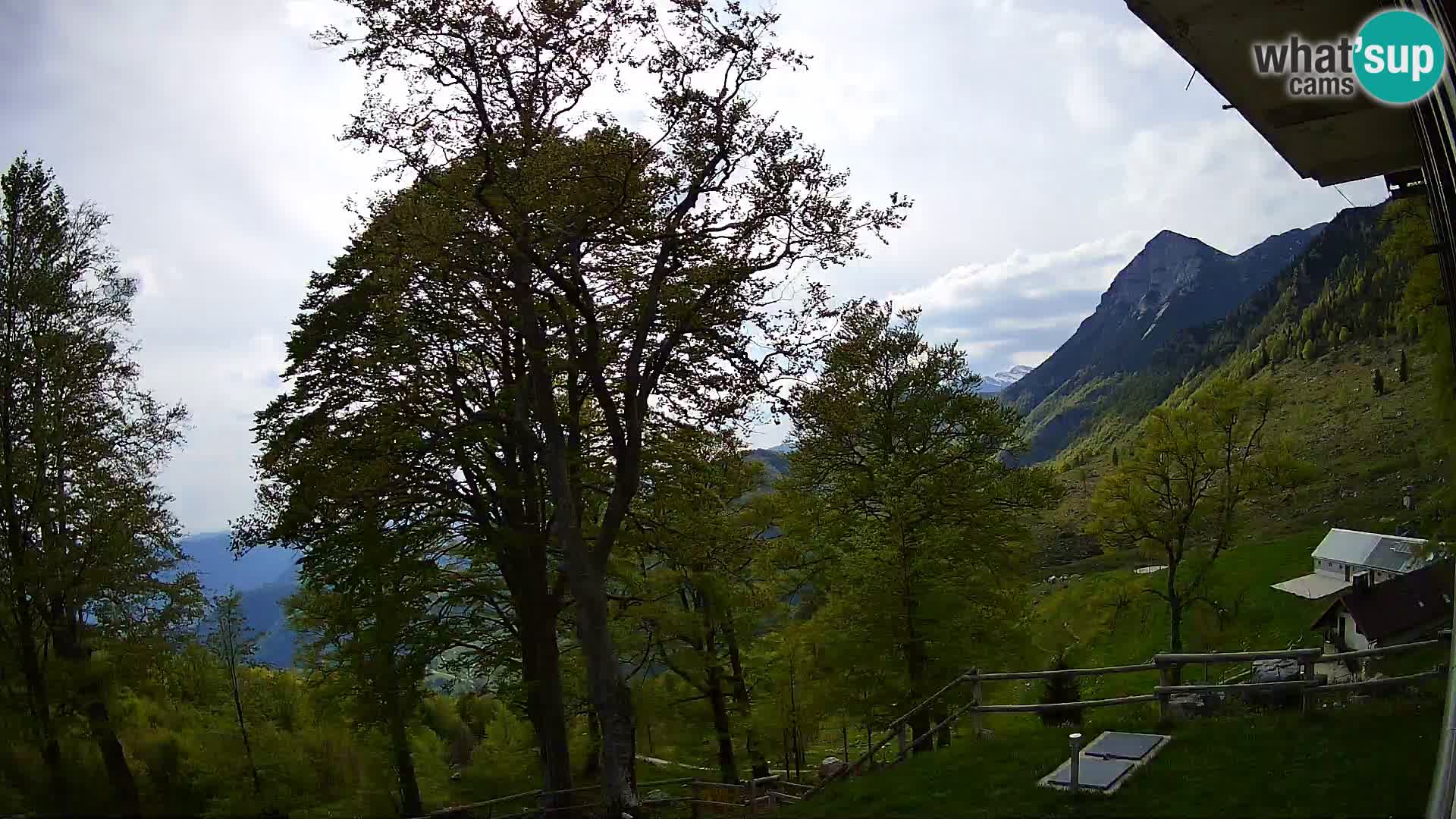 Planina Razor Mountain Hut live cam (1315) | view to Tolminski Migovec
