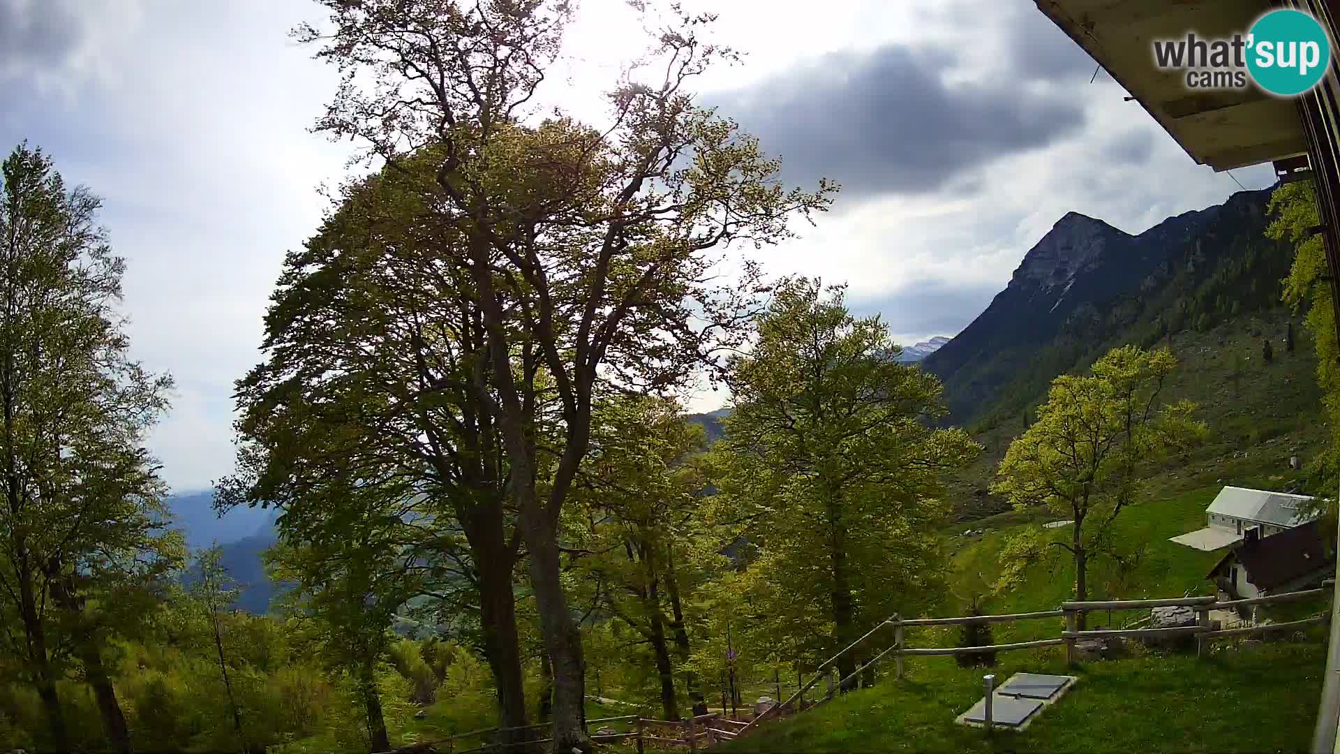 Planina Razor Mountain Hut live cam (1315) | view to Tolminski Migovec