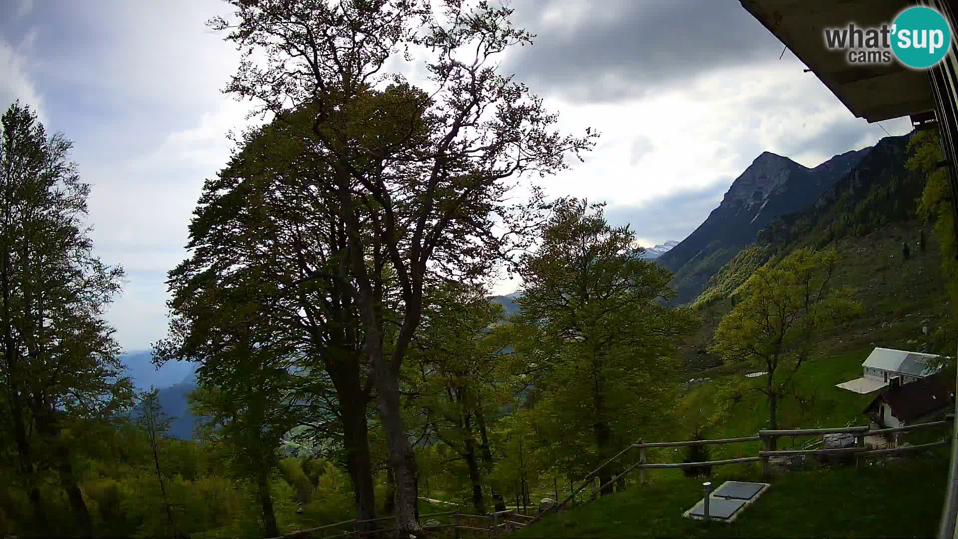 Planina Razor Mountain Hut live cam (1315) | view to Tolminski Migovec