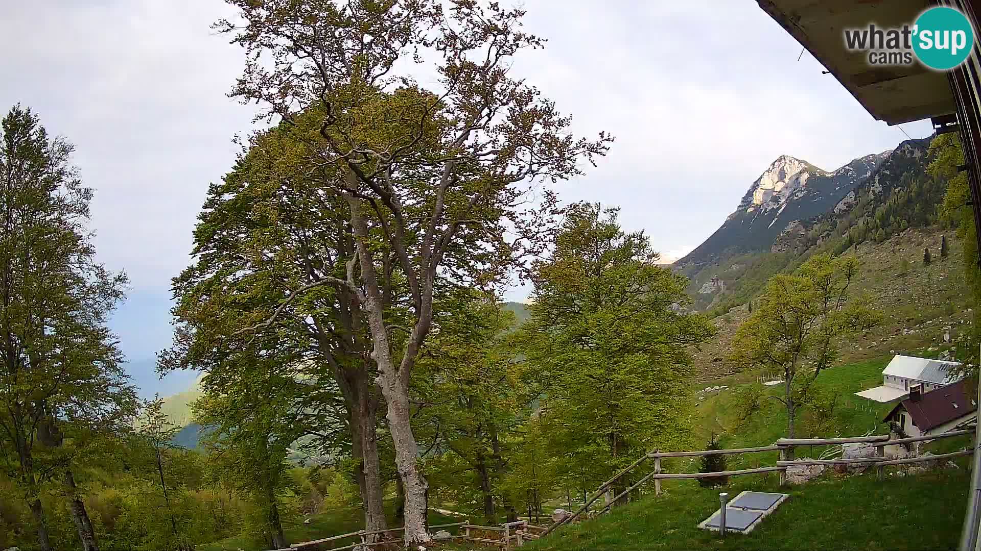 Planina Razor Mountain Hut live cam (1315) | view to Tolminski Migovec