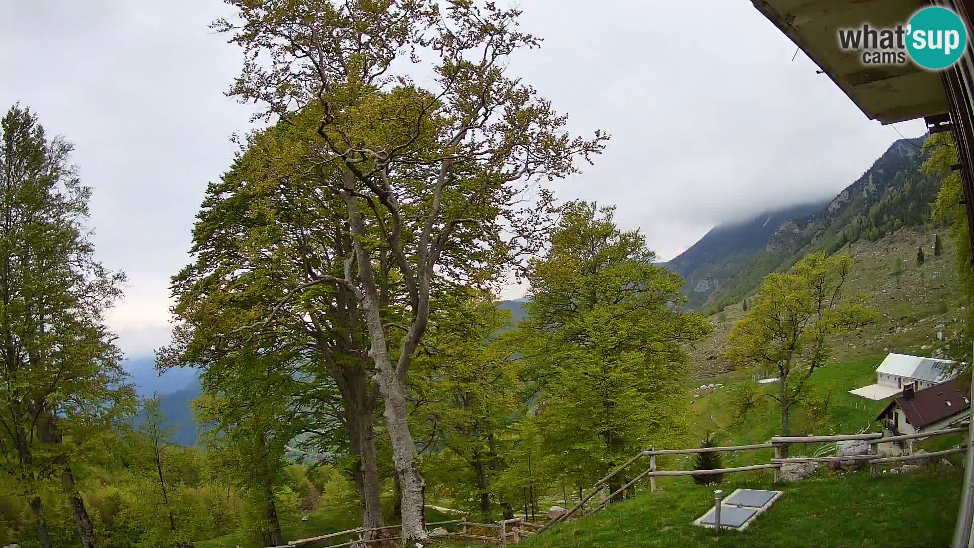 Planina Razor Mountain Hut live cam (1315) | view to Tolminski Migovec