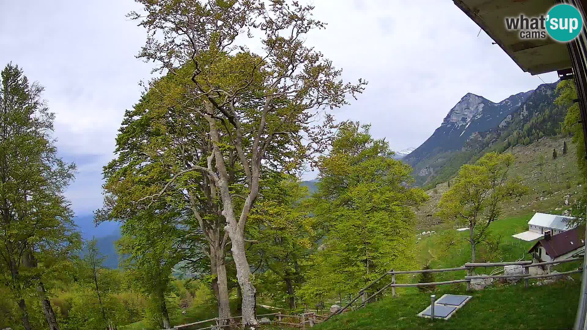 Baita di montagna Planina Razor webcam (1315) | vista su Tolminski Migovec
