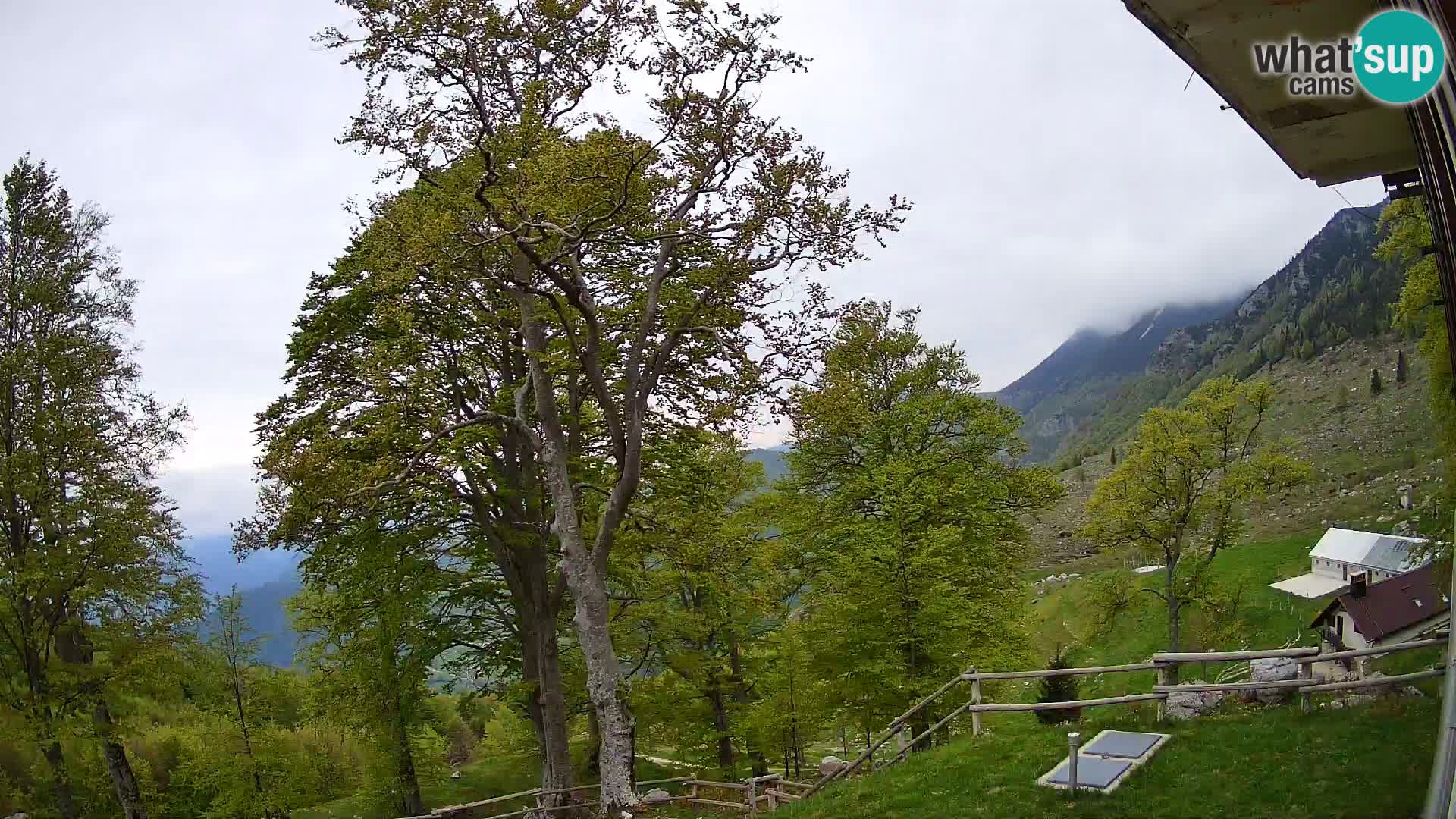 Planina Razor Mountain Hut live cam (1315) | view to Tolminski Migovec