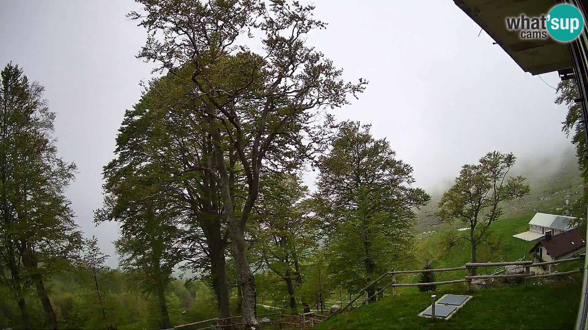 Planina Razor Mountain Hut live cam (1315) | view to Tolminski Migovec
