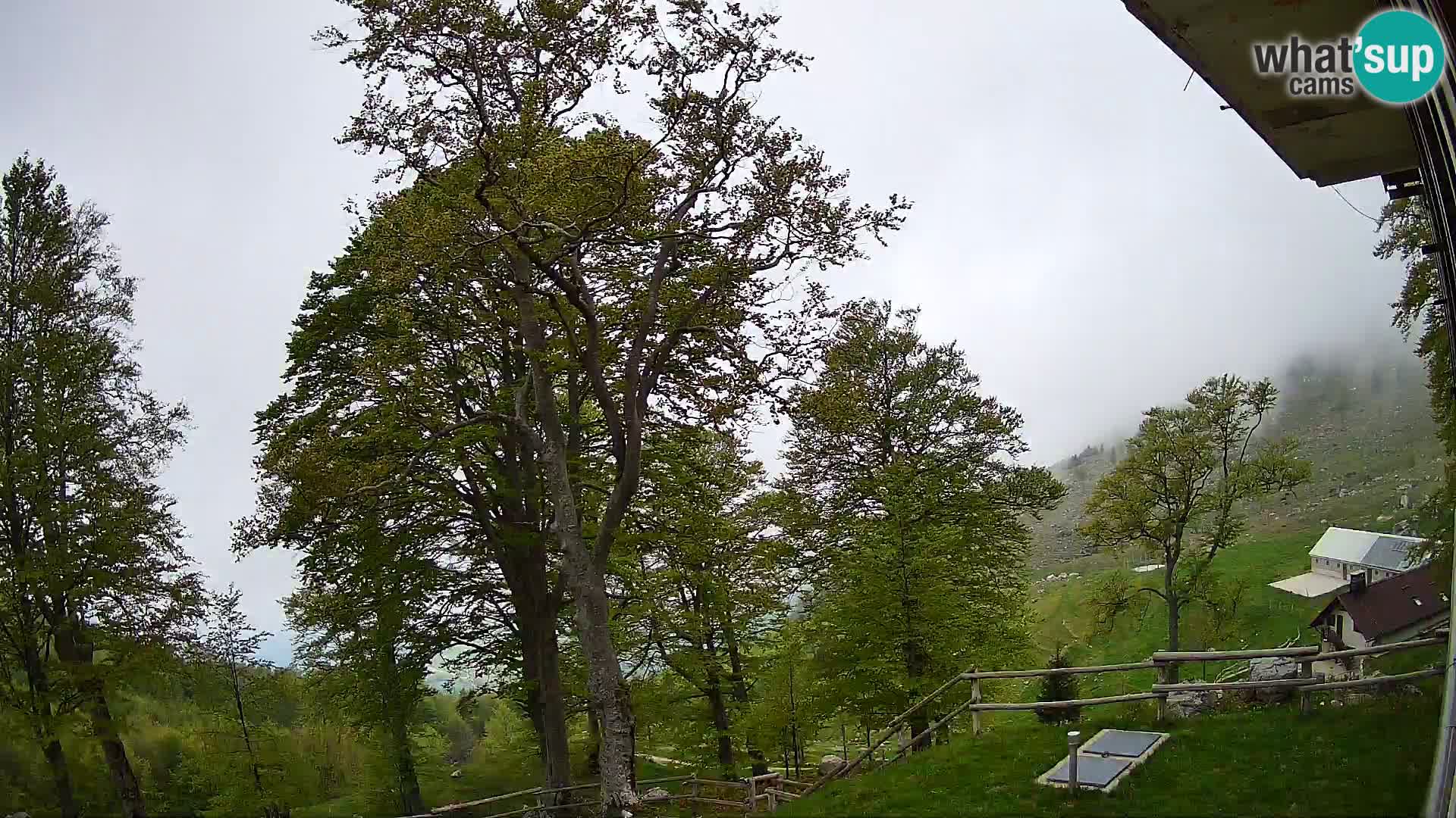 Planinarski dom na planini Razor (1315) | Pogled na Tolminski Migovec