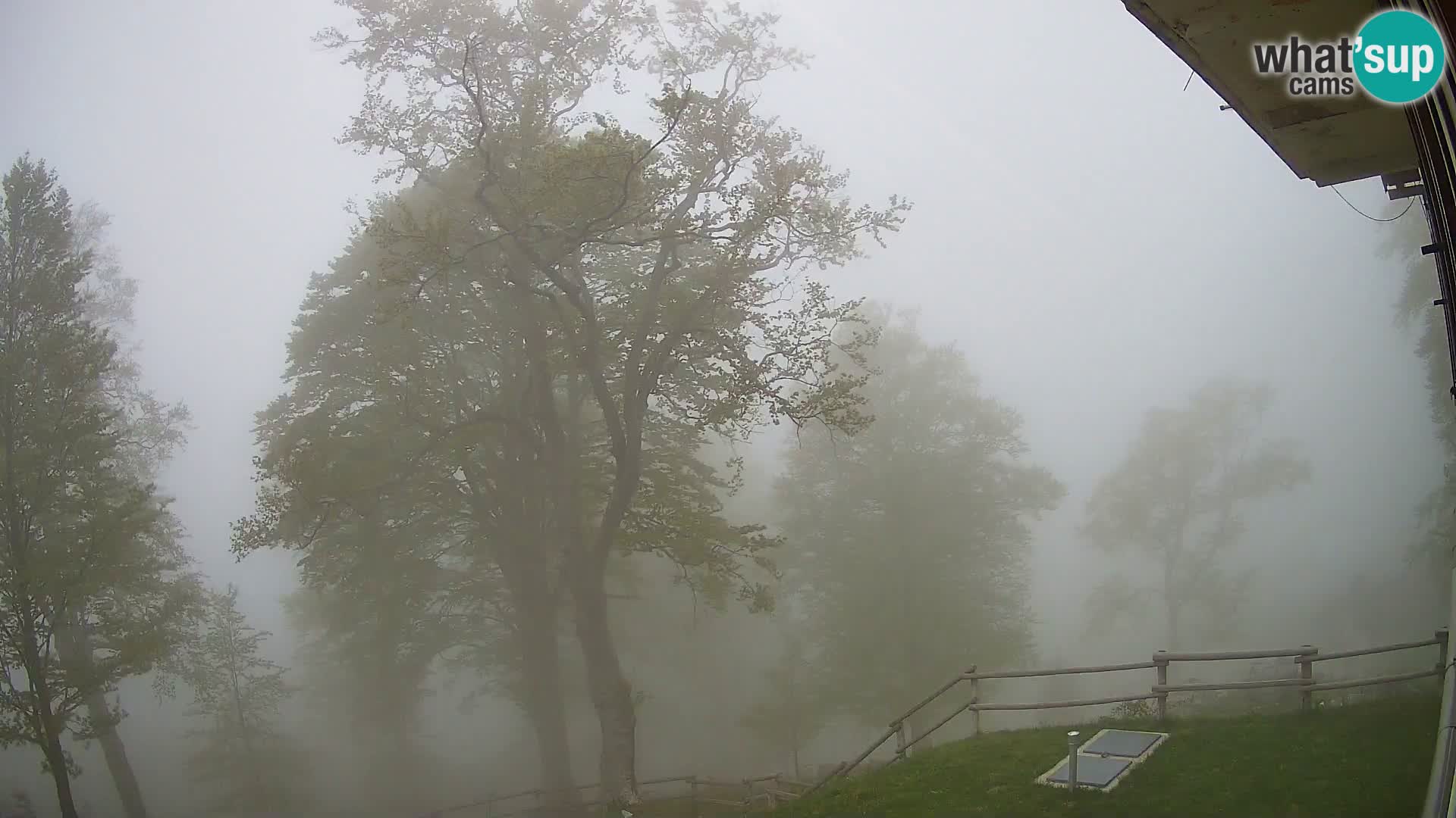 Planina Razor Bergütte Webcam (1315) | Blick auf Tolminski Migovec
