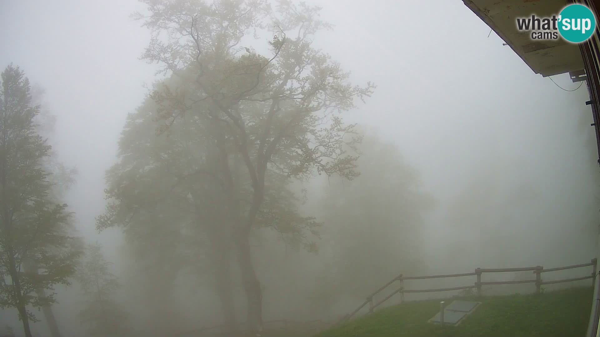 Planina Razor Mountain Hut live cam (1315) | view to Tolminski Migovec