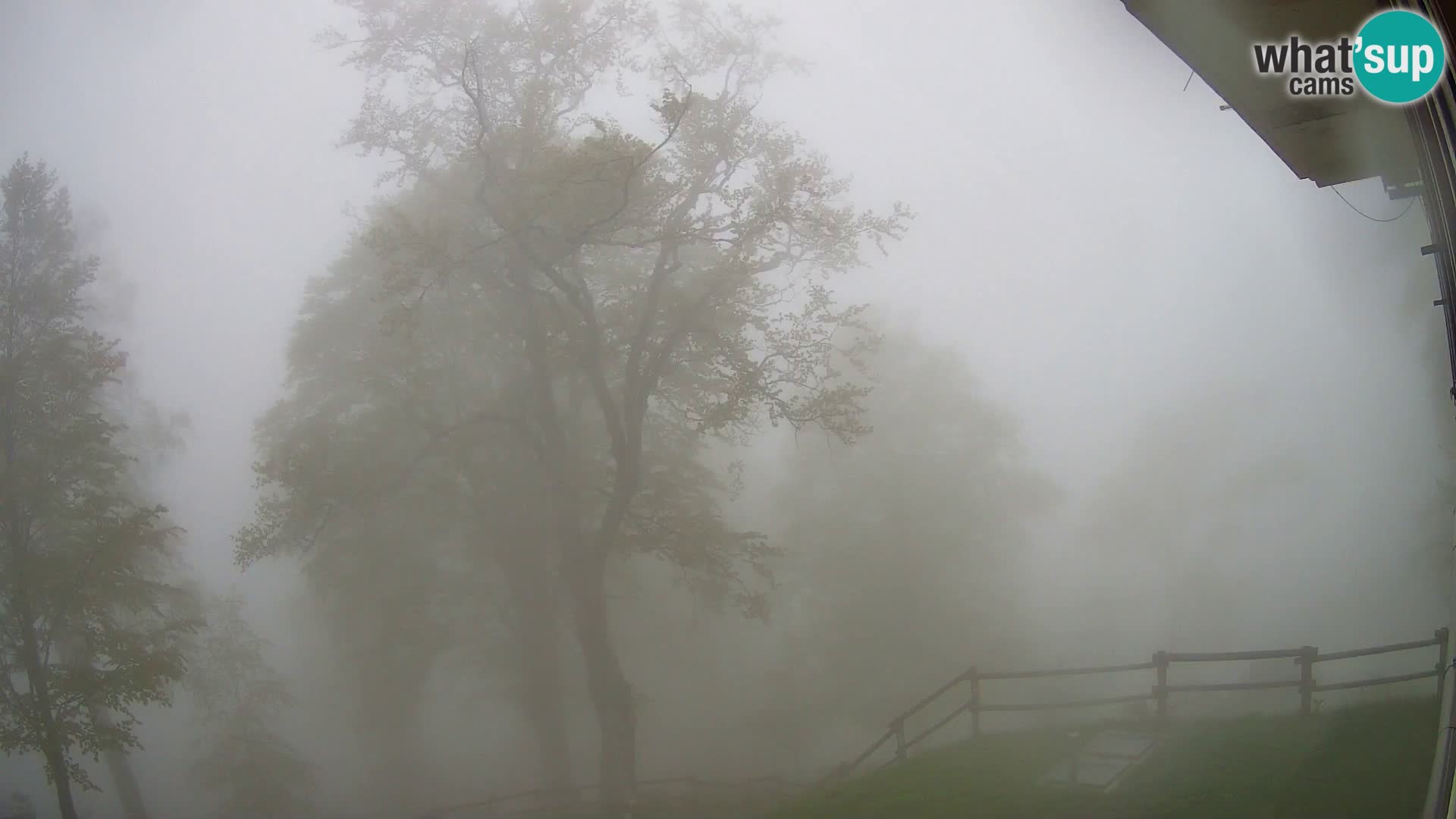 Planina Razor Mountain Hut live cam (1315) | view to Tolminski Migovec