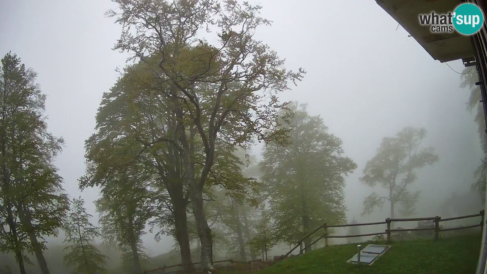 Planina Razor Bergütte Webcam (1315) | Blick auf Tolminski Migovec