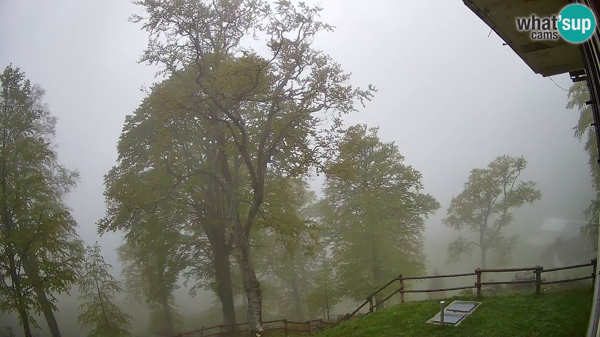 Planina Razor Mountain Hut live cam (1315) | view to Tolminski Migovec