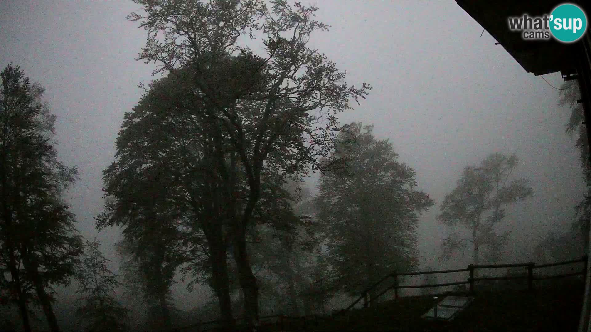 Planina Razor Mountain Hut live cam (1315) | view to Tolminski Migovec