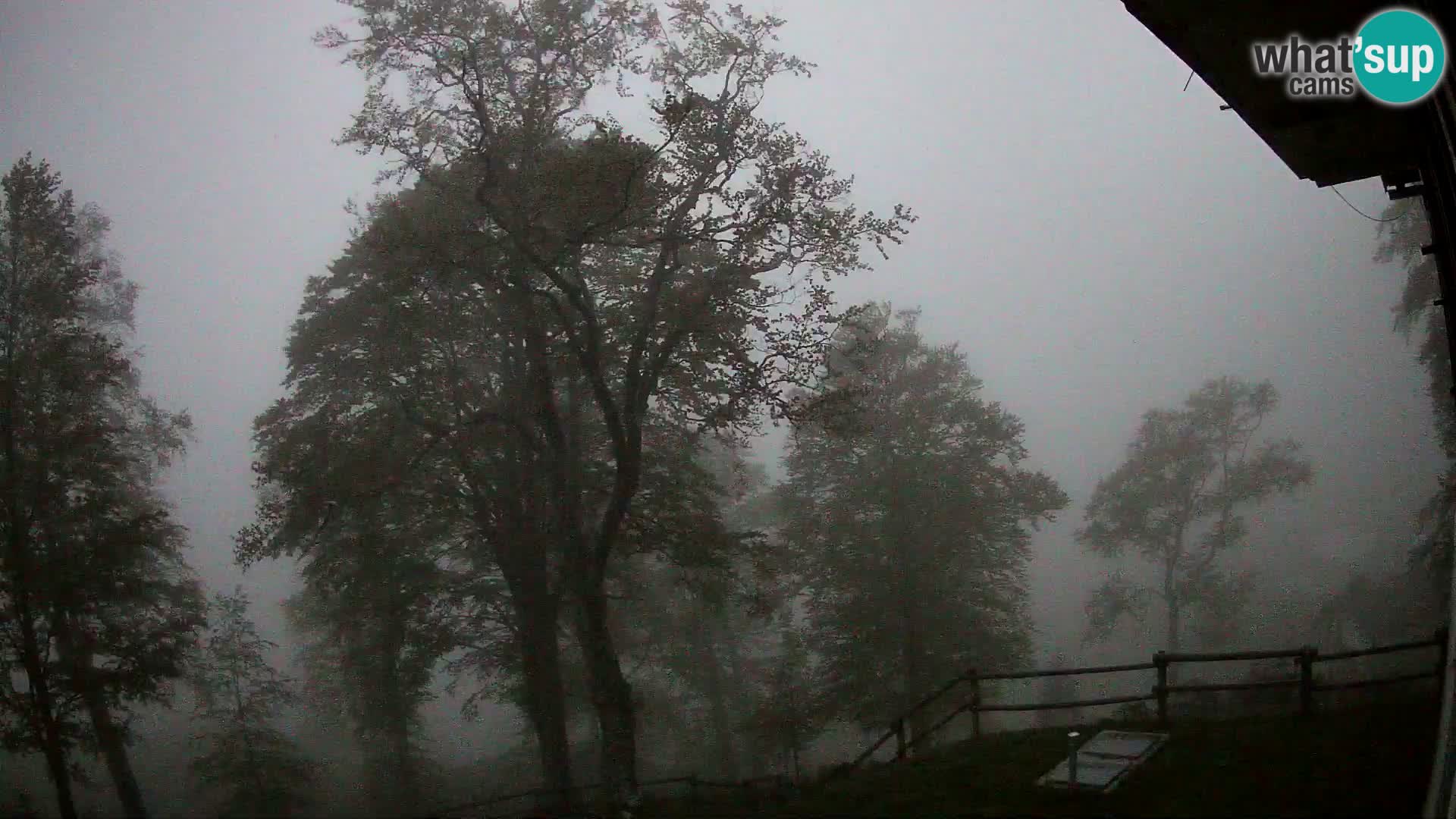 Planina Razor Bergütte Webcam (1315) | Blick auf Tolminski Migovec