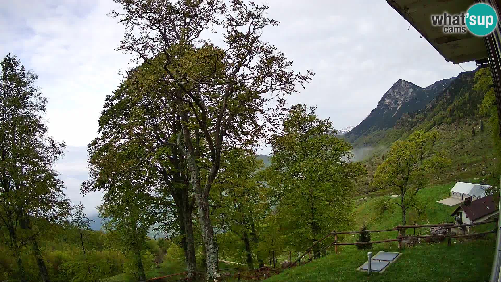 Refuge de la montagne Planina Razor caméra en direct (1315) | vue sur Tolminski Migovec