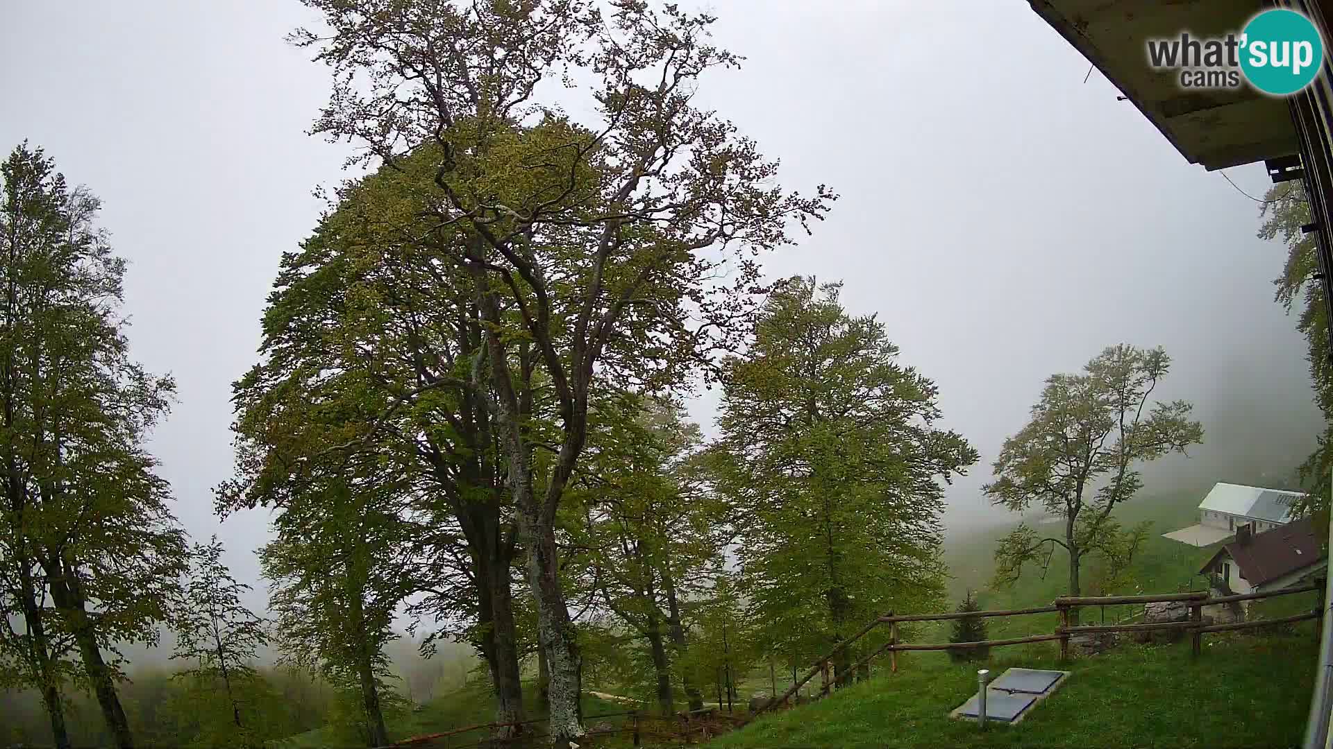Cámara en vivo de la cabaña de montaña Planina Razor (1315) | vista hacia Tolminski Migovec
