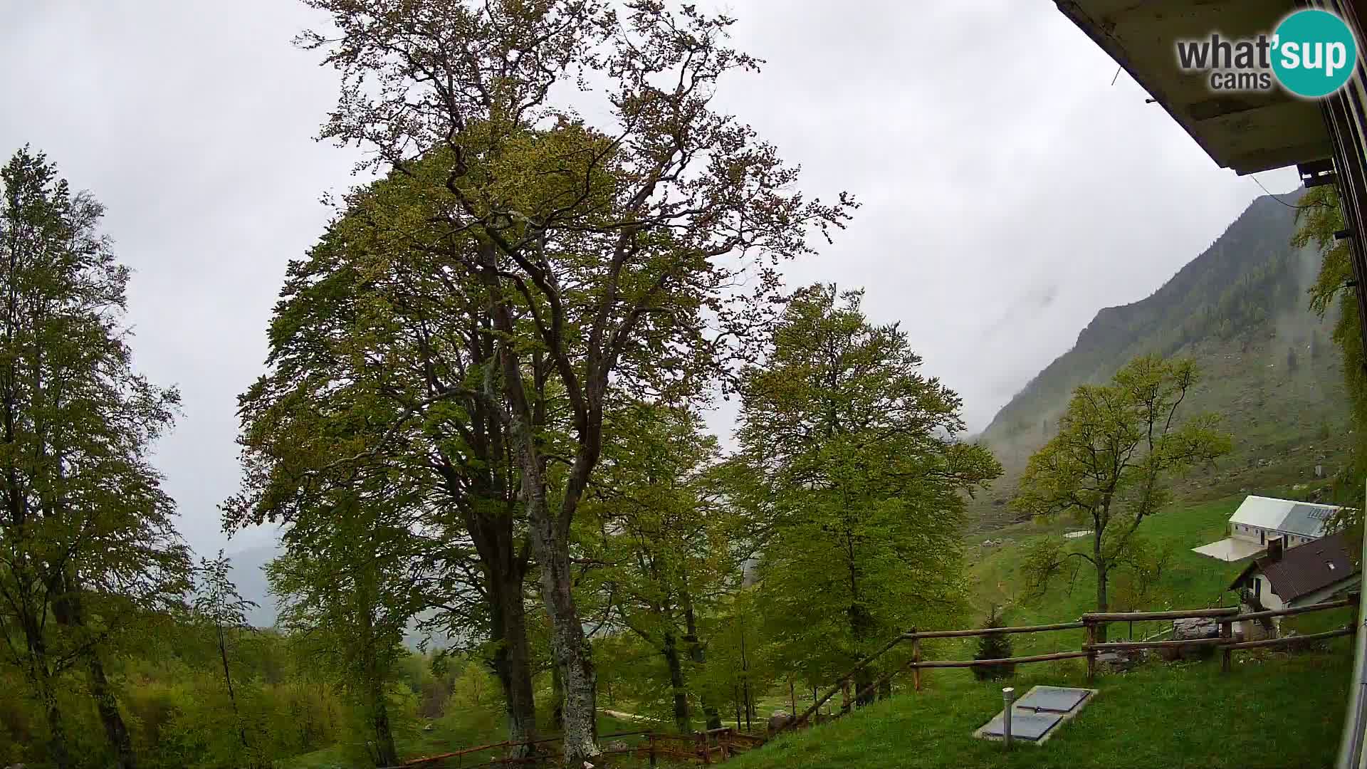 Refuge de la montagne Planina Razor caméra en direct (1315) | vue sur Tolminski Migovec