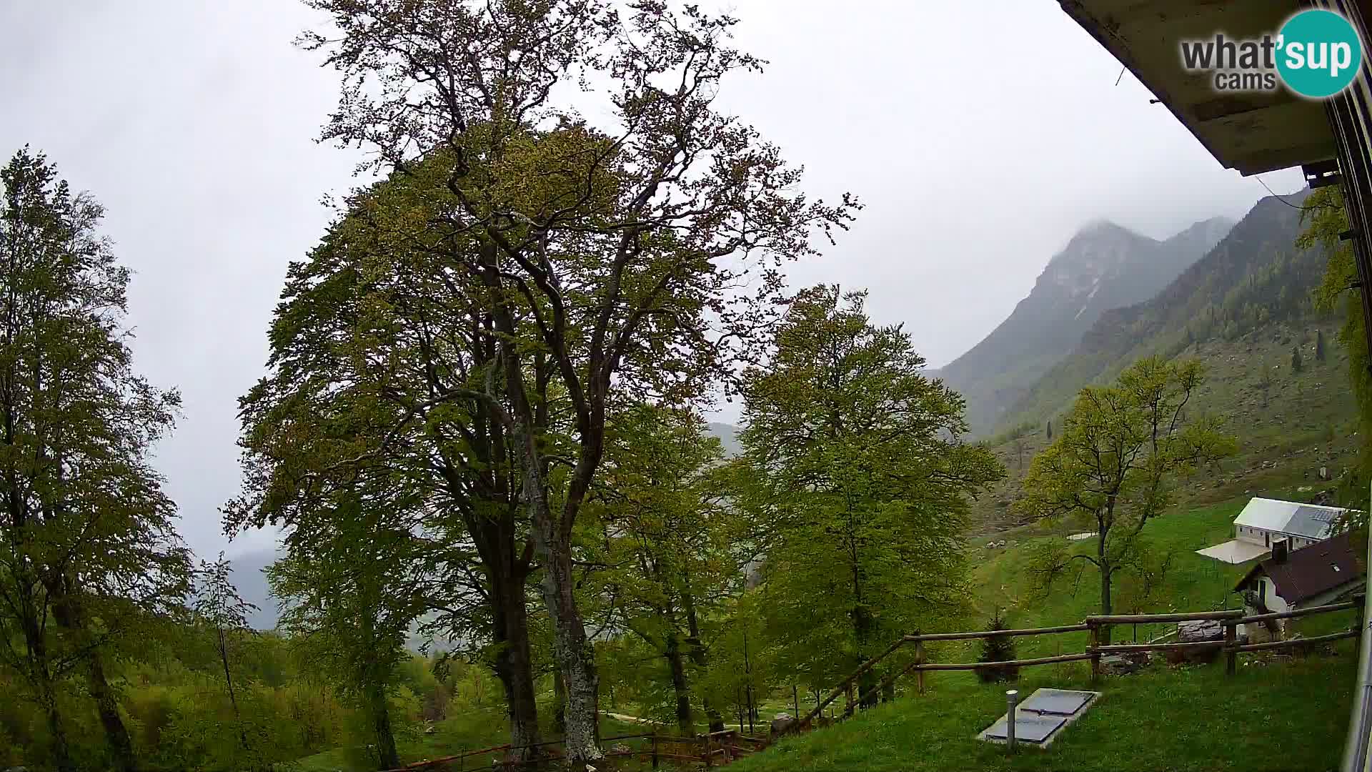 Planina Razor Mountain Hut live cam (1315) | view to Tolminski Migovec