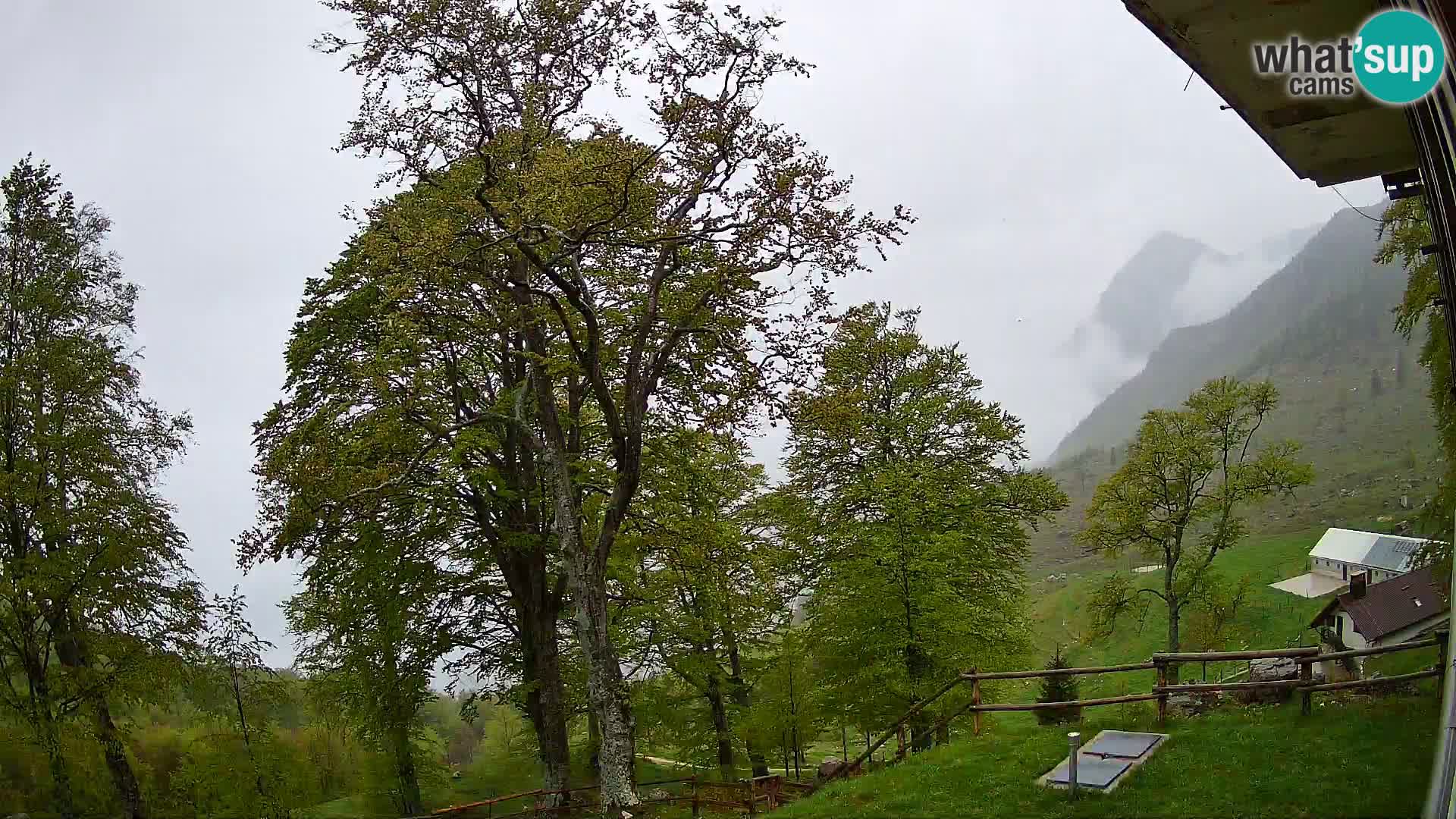 Planina Razor Bergütte Webcam (1315) | Blick auf Tolminski Migovec
