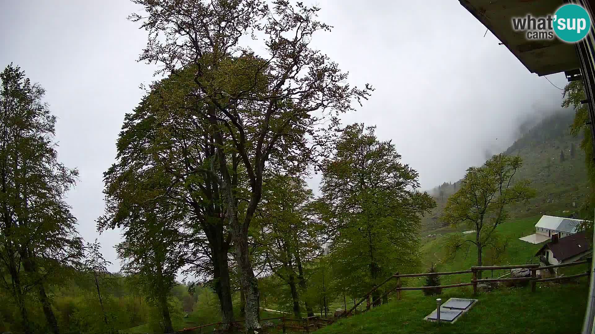 Planina Razor Bergütte Webcam (1315) | Blick auf Tolminski Migovec