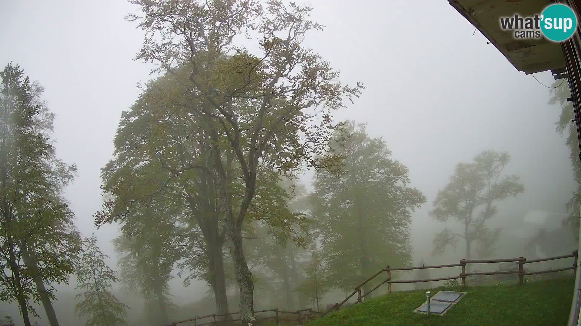 Baita di montagna Planina Razor webcam (1315) | vista su Tolminski Migovec