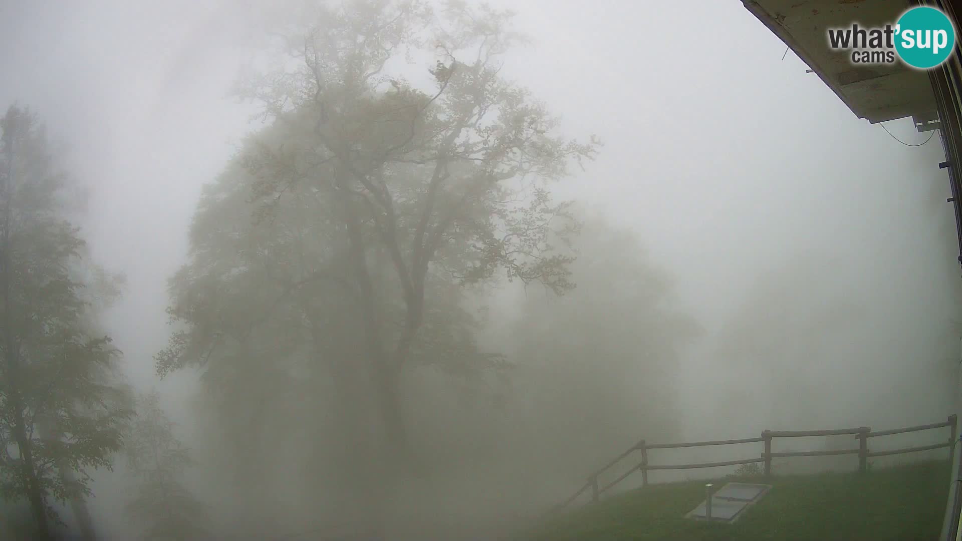 Planina Razor Bergütte Webcam (1315) | Blick auf Tolminski Migovec