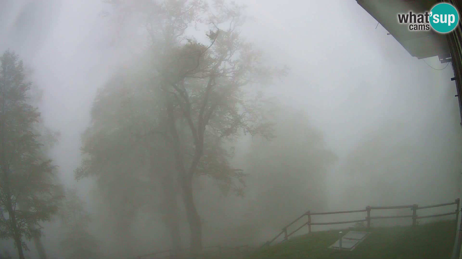 Cámara en vivo de la cabaña de montaña Planina Razor (1315) | vista hacia Tolminski Migovec