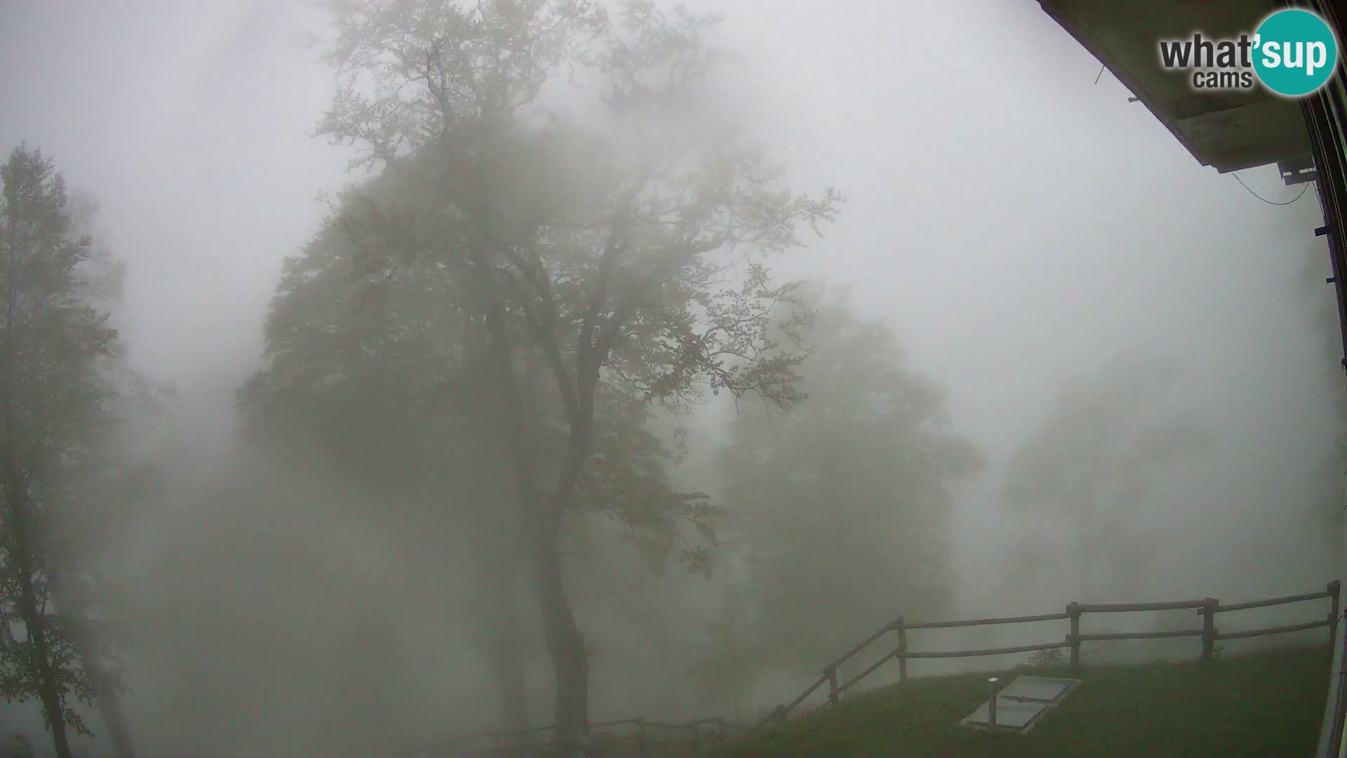 Planina Razor Bergütte Webcam (1315) | Blick auf Tolminski Migovec