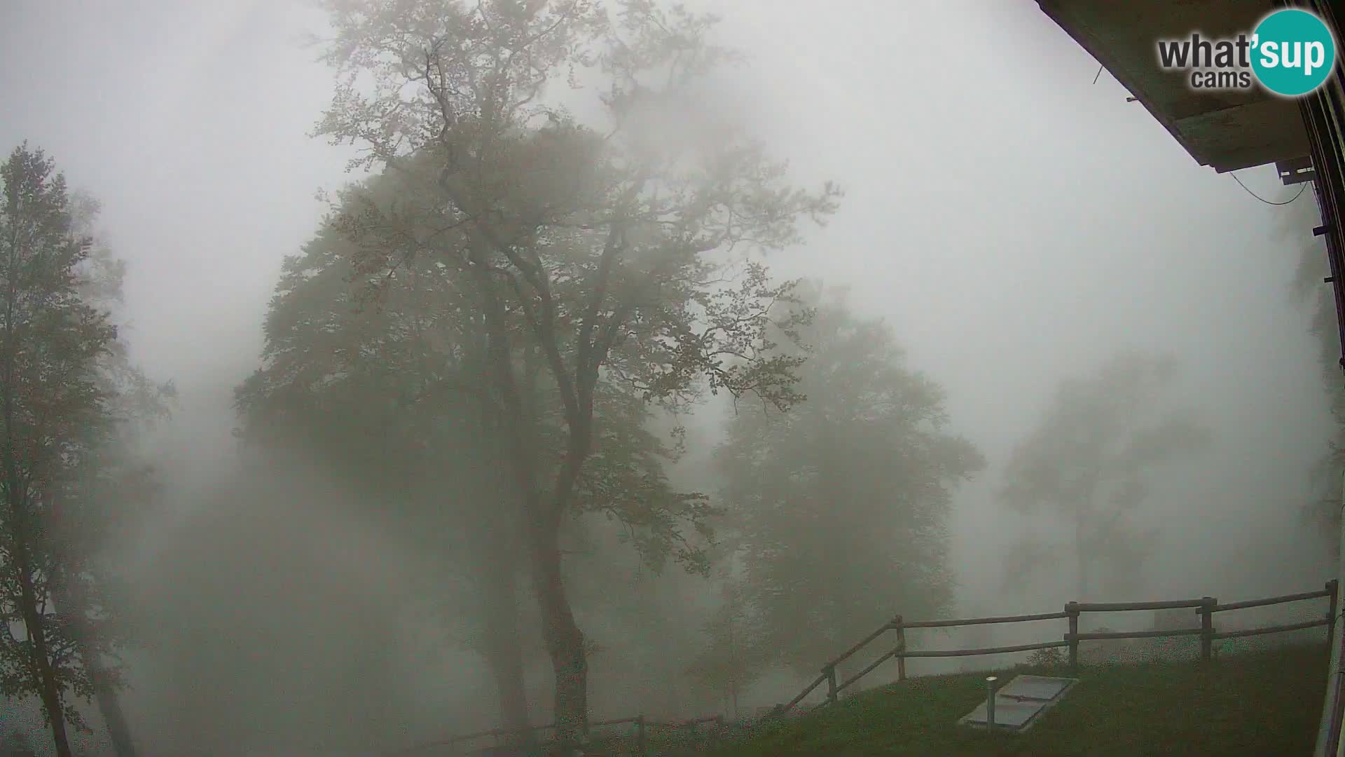 Planina Razor Mountain Hut live cam (1315) | view to Tolminski Migovec