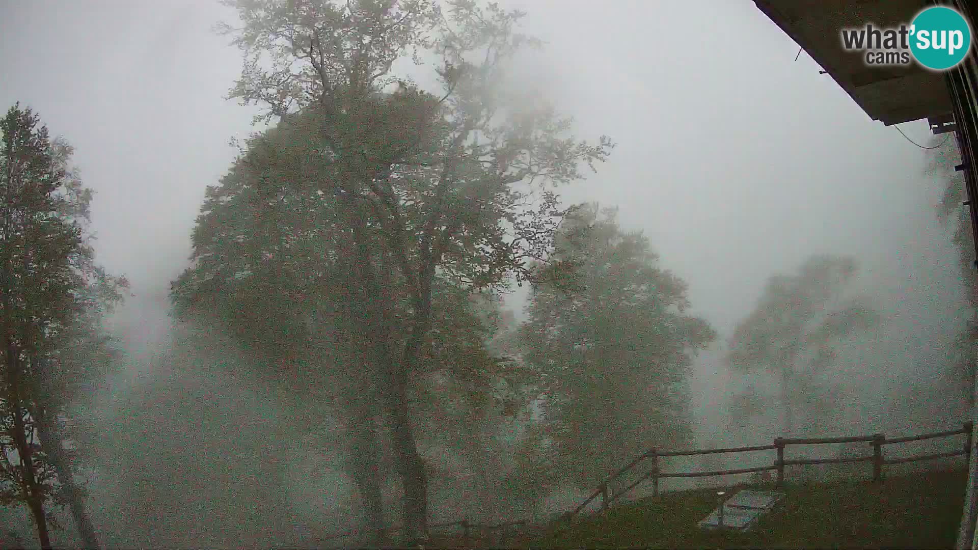 Baita di montagna Planina Razor webcam (1315) | vista su Tolminski Migovec