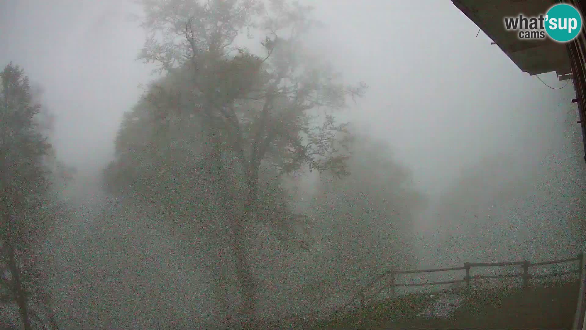 Cámara en vivo de la cabaña de montaña Planina Razor (1315) | vista hacia Tolminski Migovec