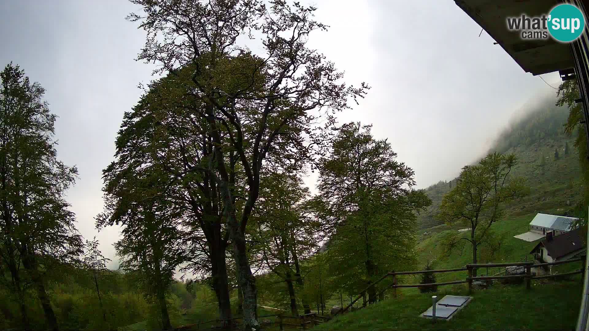 Planina Razor Mountain Hut live cam (1315) | view to Tolminski Migovec