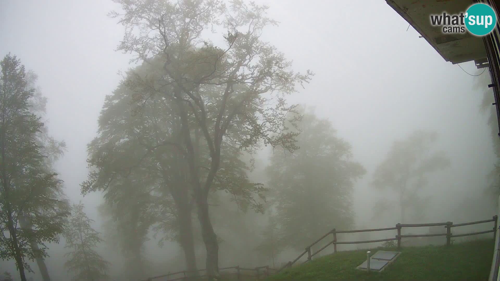 Planina Razor Bergütte Webcam (1315) | Blick auf Tolminski Migovec